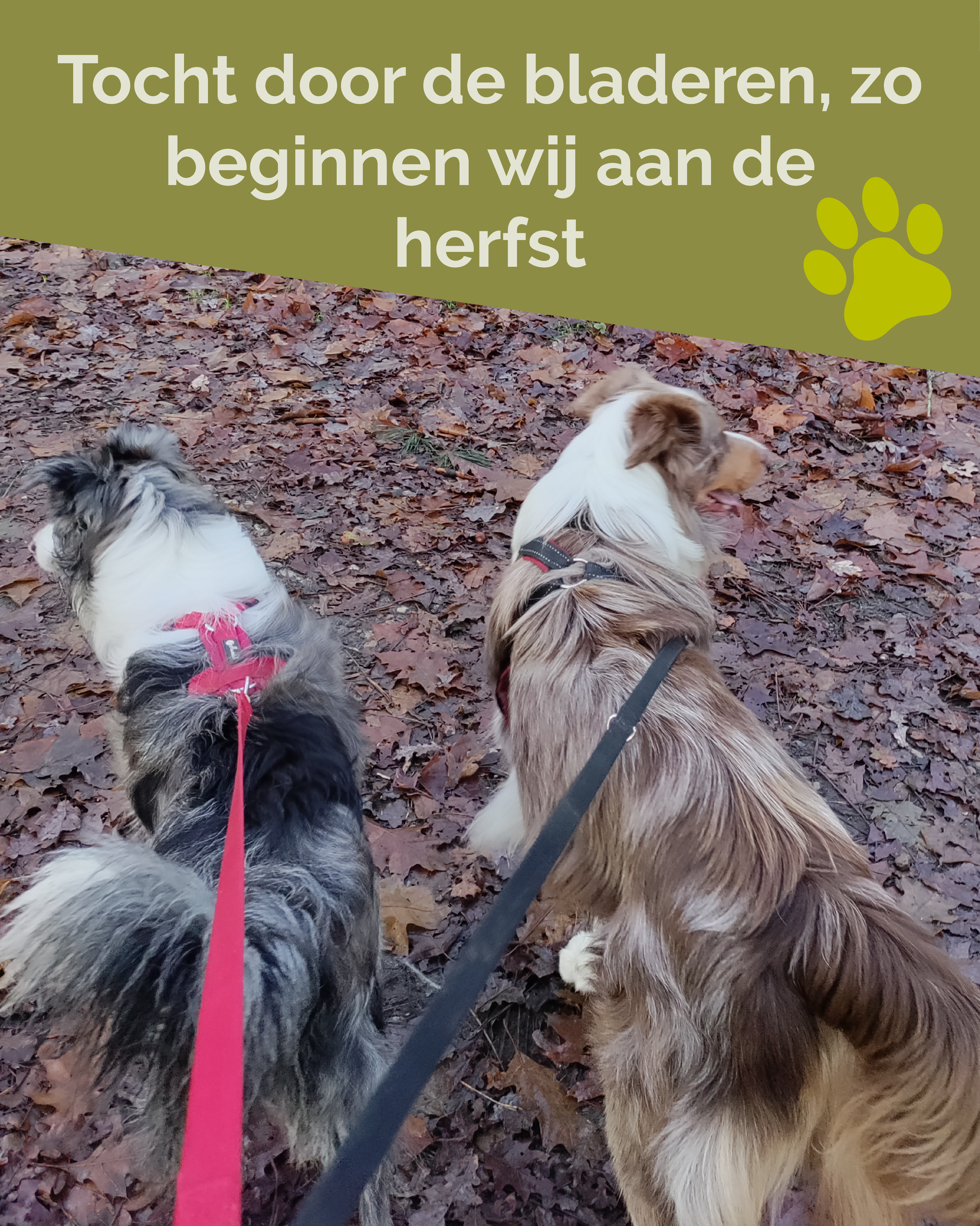 Instagram post toptopical herfst