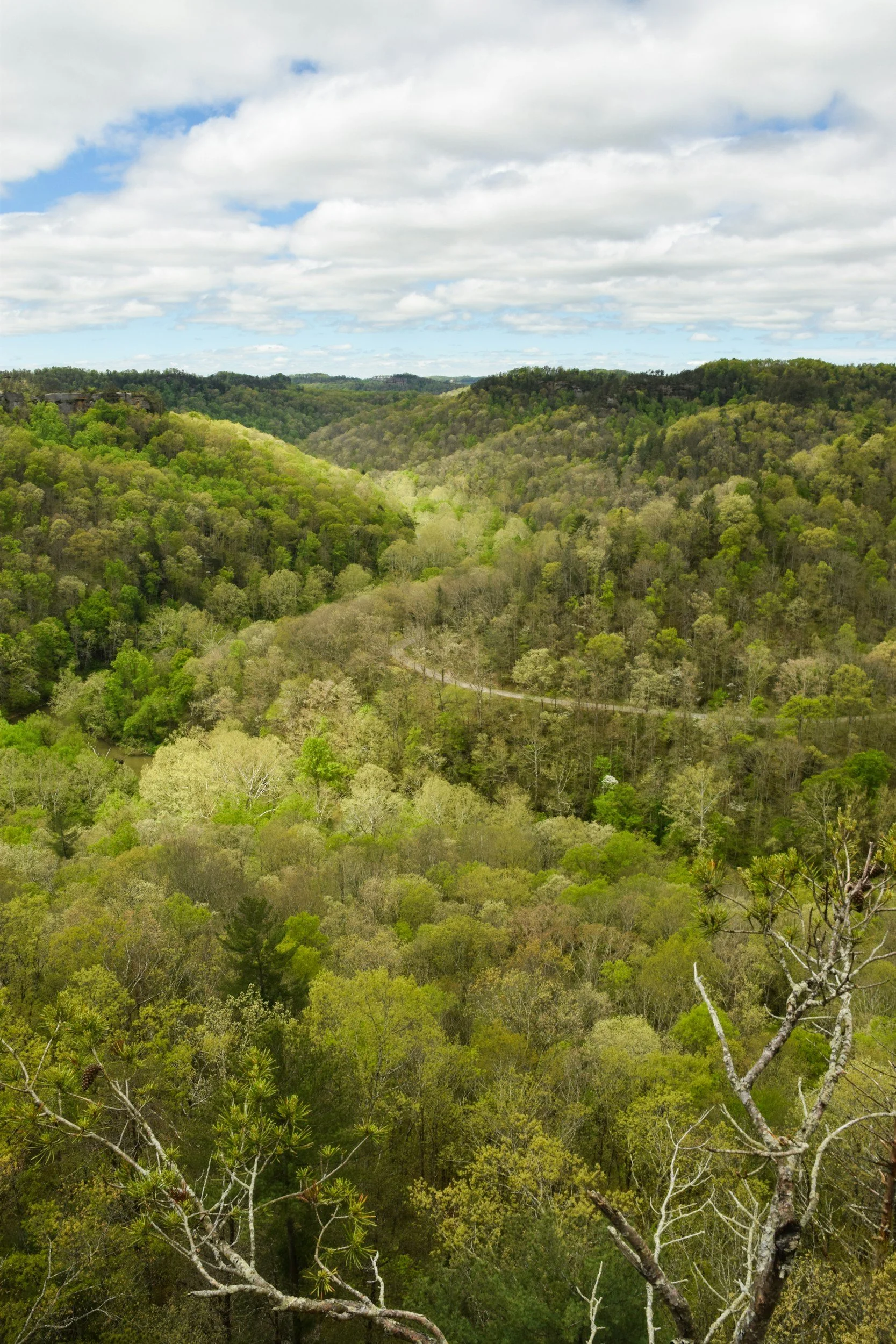 A scenic view of a lush green forested valley with rolling hills and a cloudy sky.