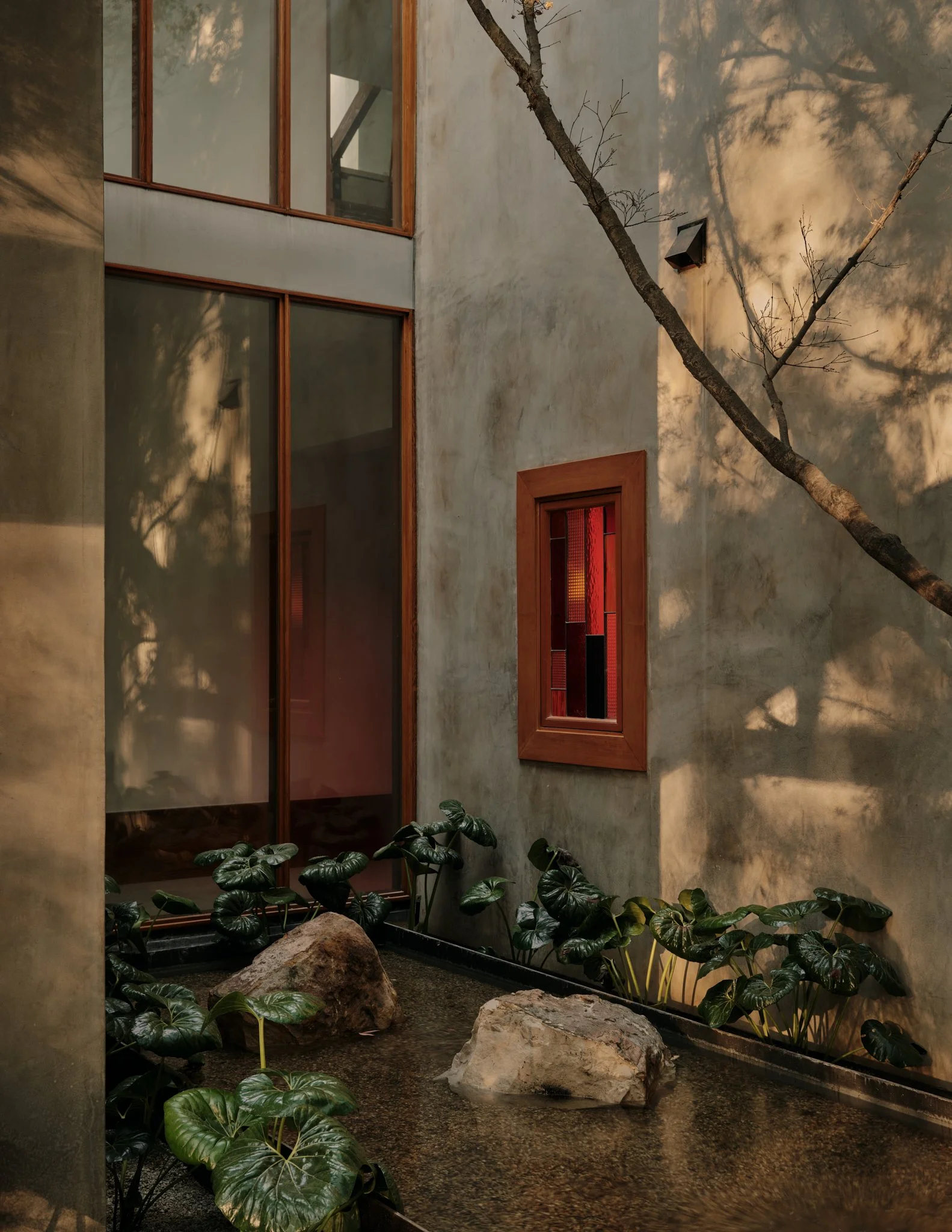Indoor courtyard with a water feature, large rocks, lush green plants, and a tree with shadow patterns on the wall, featuring modern architecture with wooden-framed glass windows and a textured wall.
