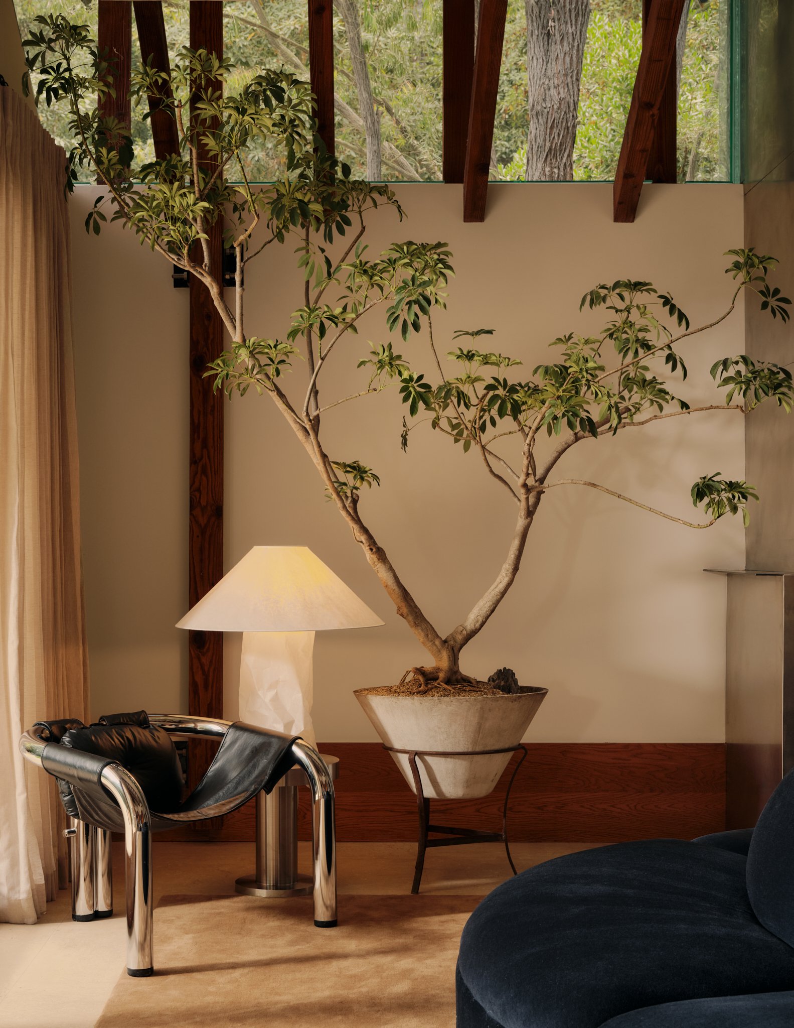 Living room with a large potted indoor tree, a beige lamp, a black leather chair, and a window with greenery outside.