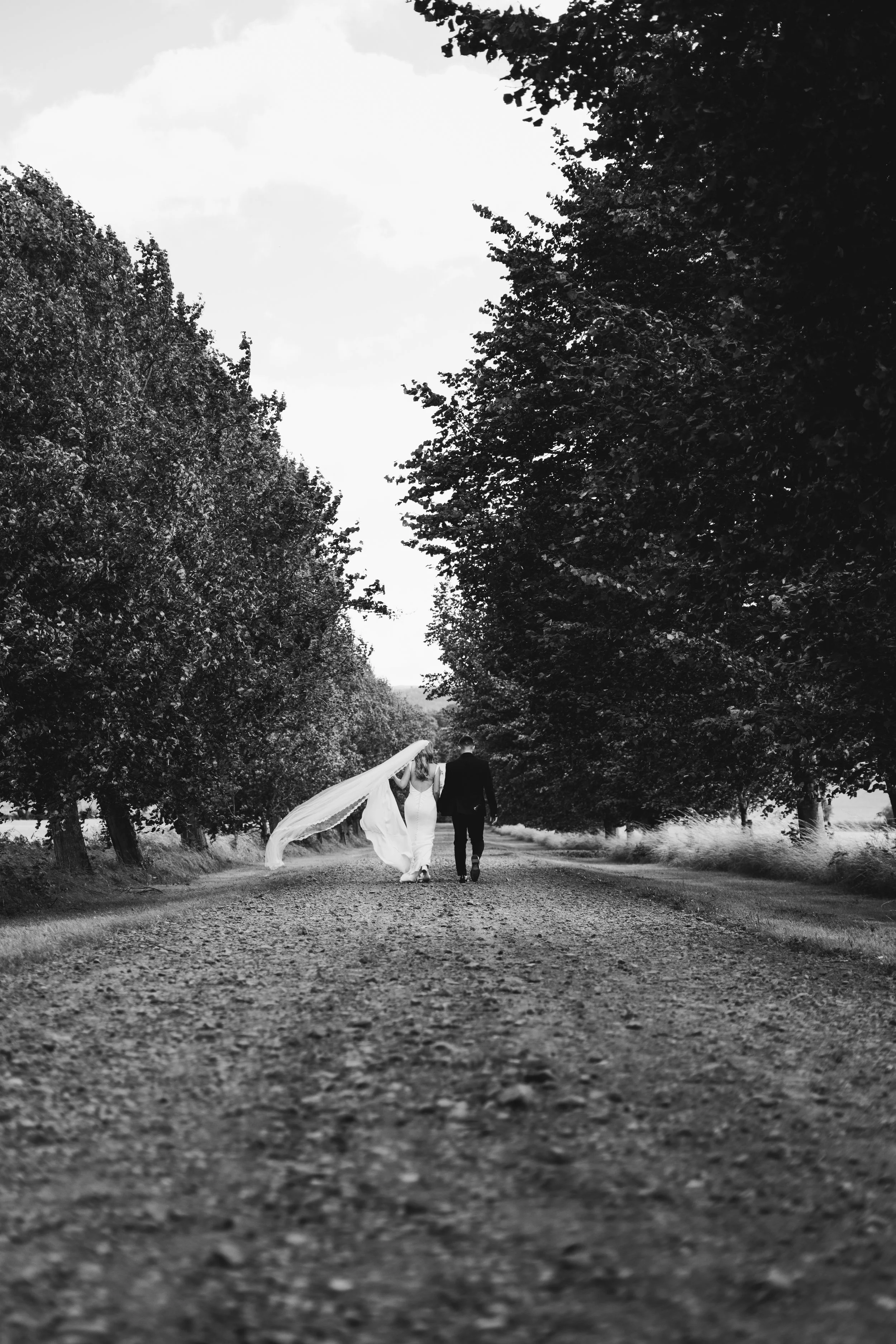 A black and white photograph of a bride and groom walking down a dirt road lined with tall trees on both sides. The bride is holding a parasol and their backs are turned to the camera.