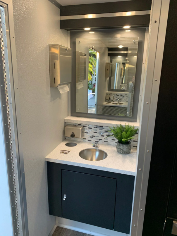 Small bathroom sink with a mirror above, a potted plant, a soap dispenser, and paper towels in a compact space.