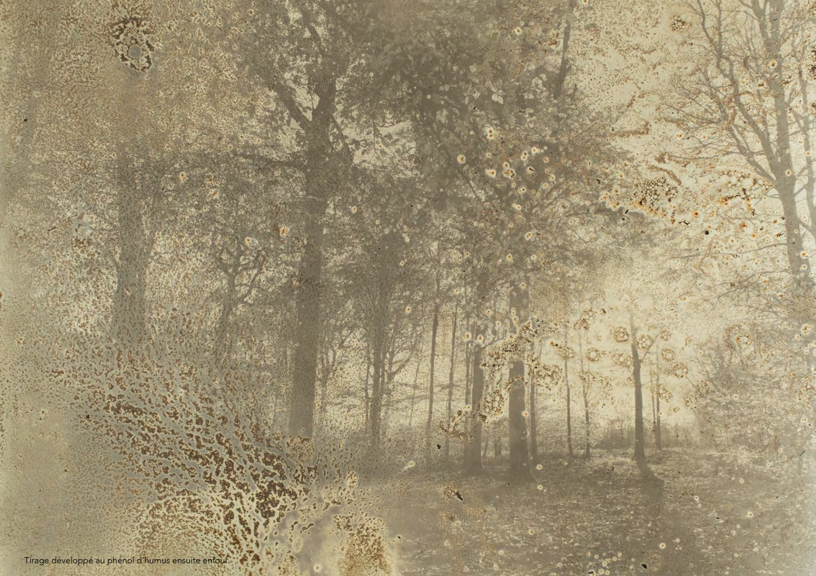 Mémoires de Sol