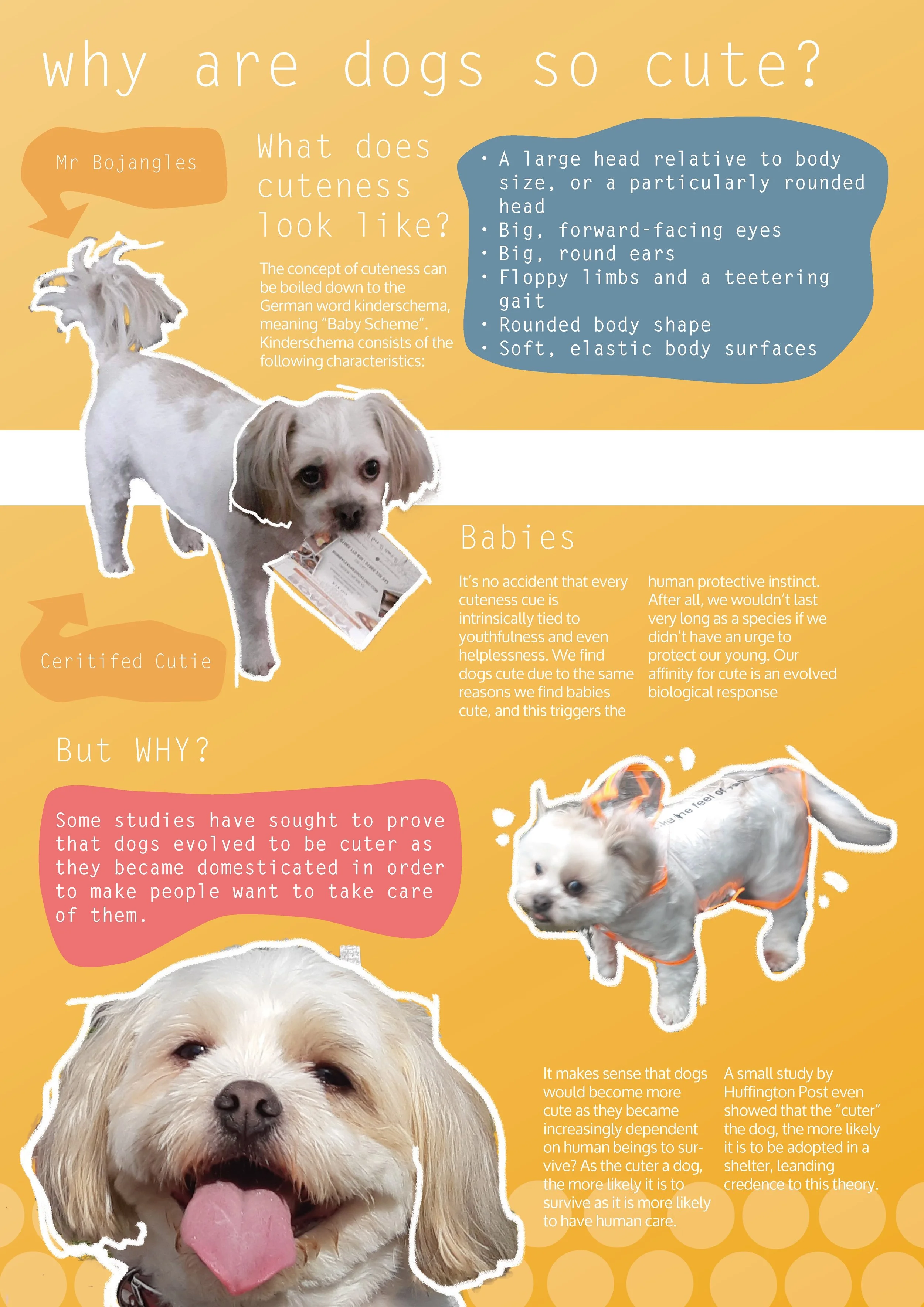 Why_Poster_Page_2.jpg