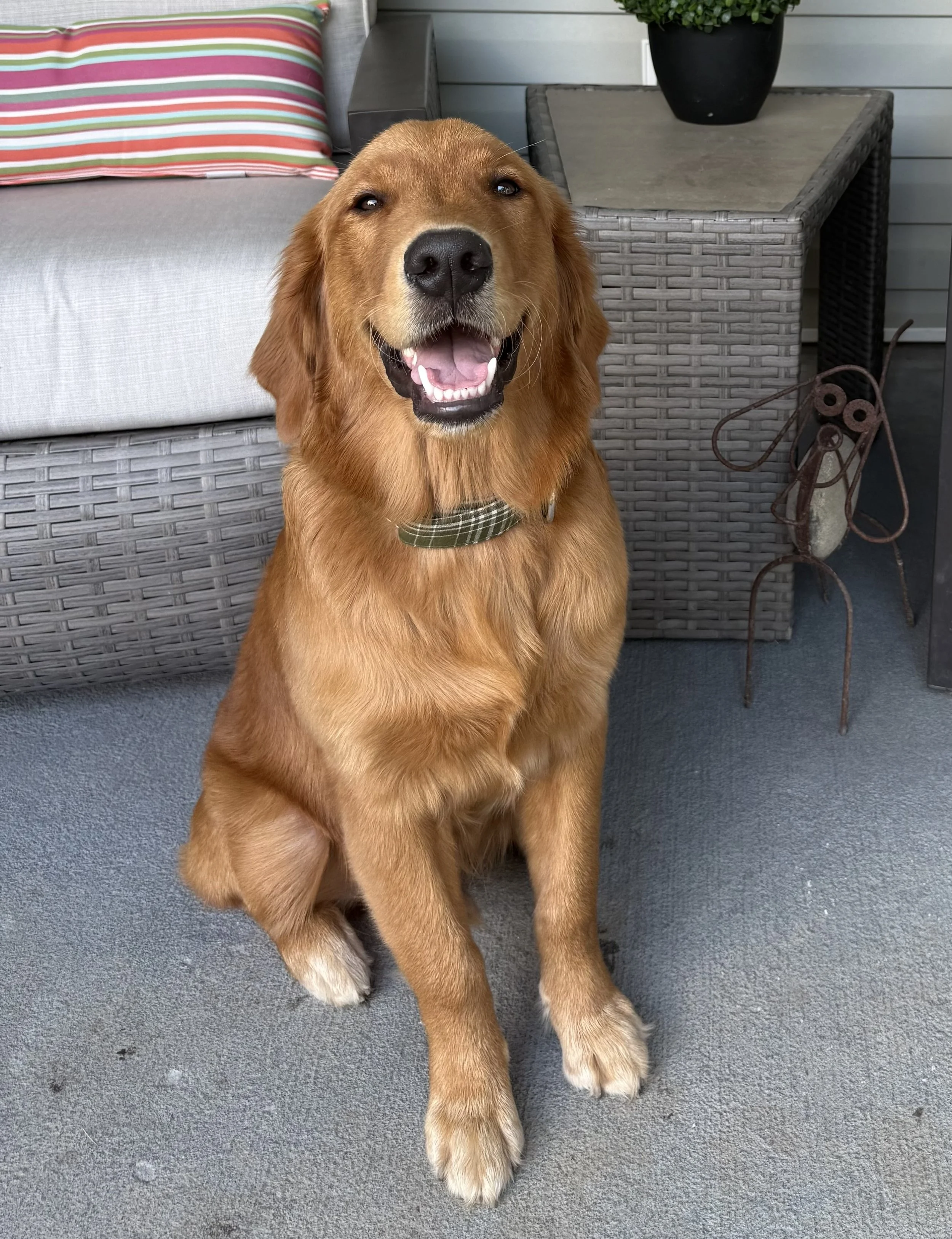 Gretzky is wearing “Sunday Stroll”