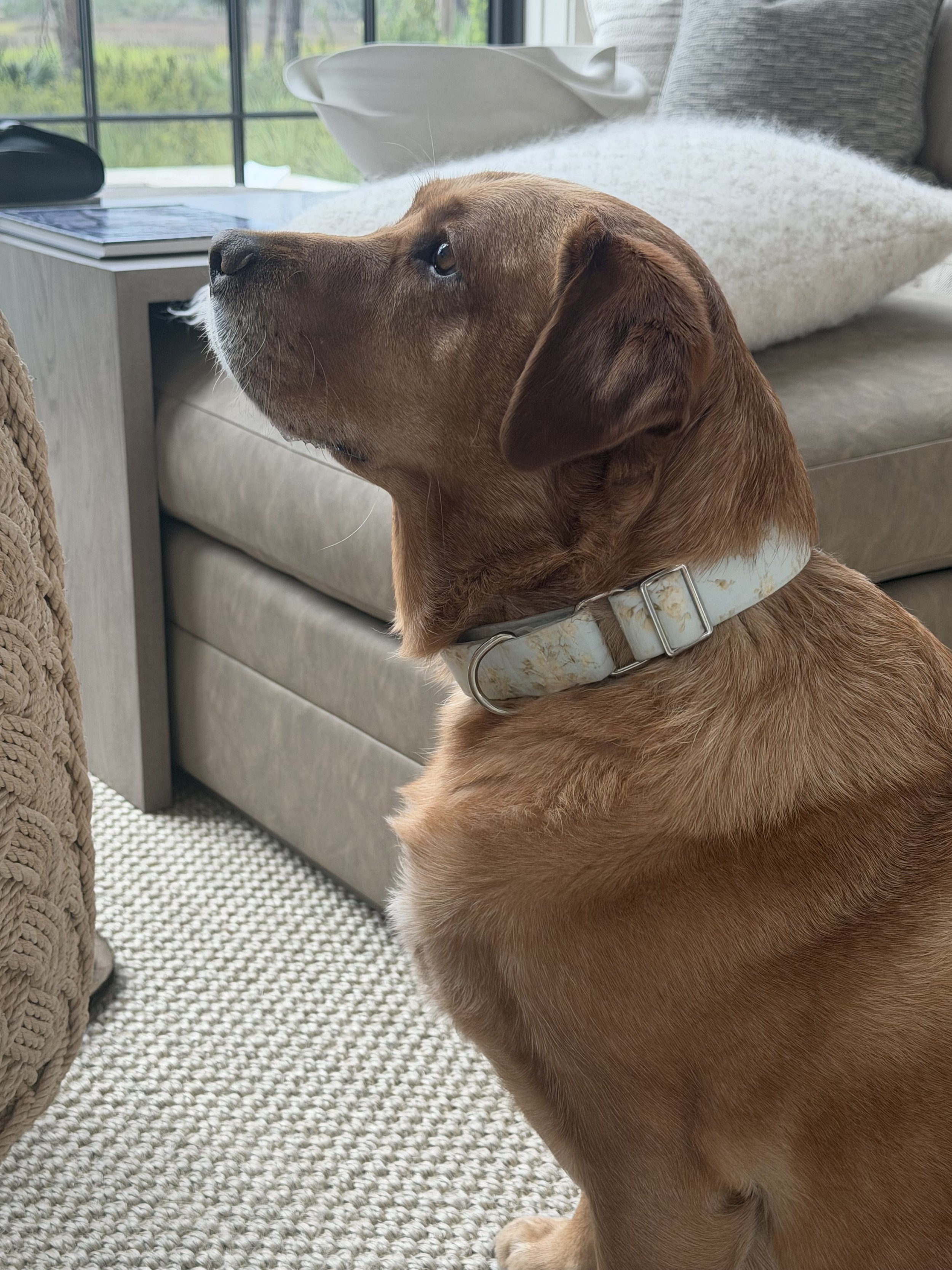 Ruby is wearing “Sunday Morning”