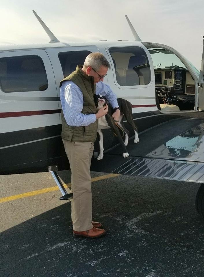 We worked with a dog behaviorist and took her back to Tennessee when she was ready to be adopted. 