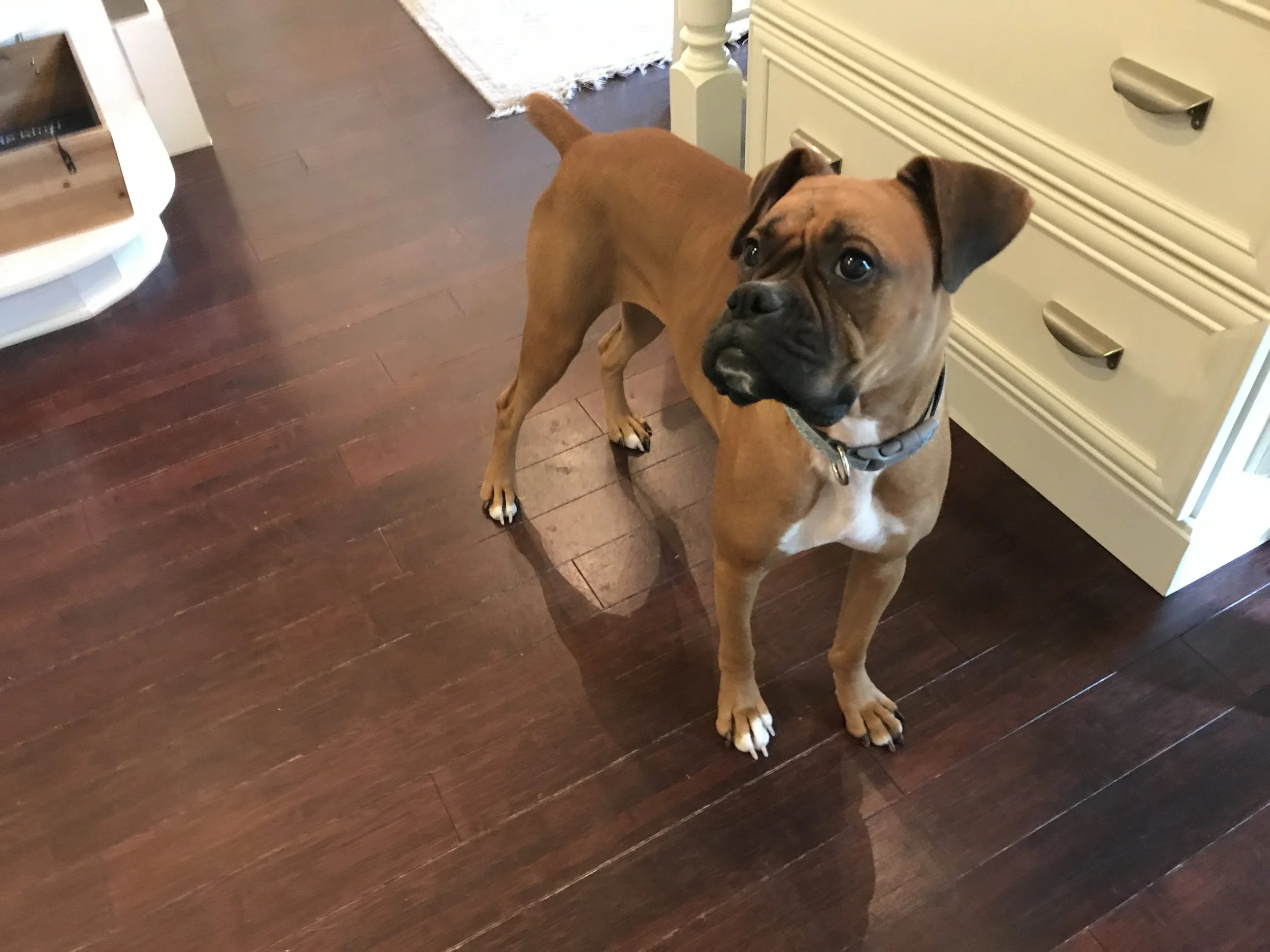 Lulu - I still keep in touch with her mom!!