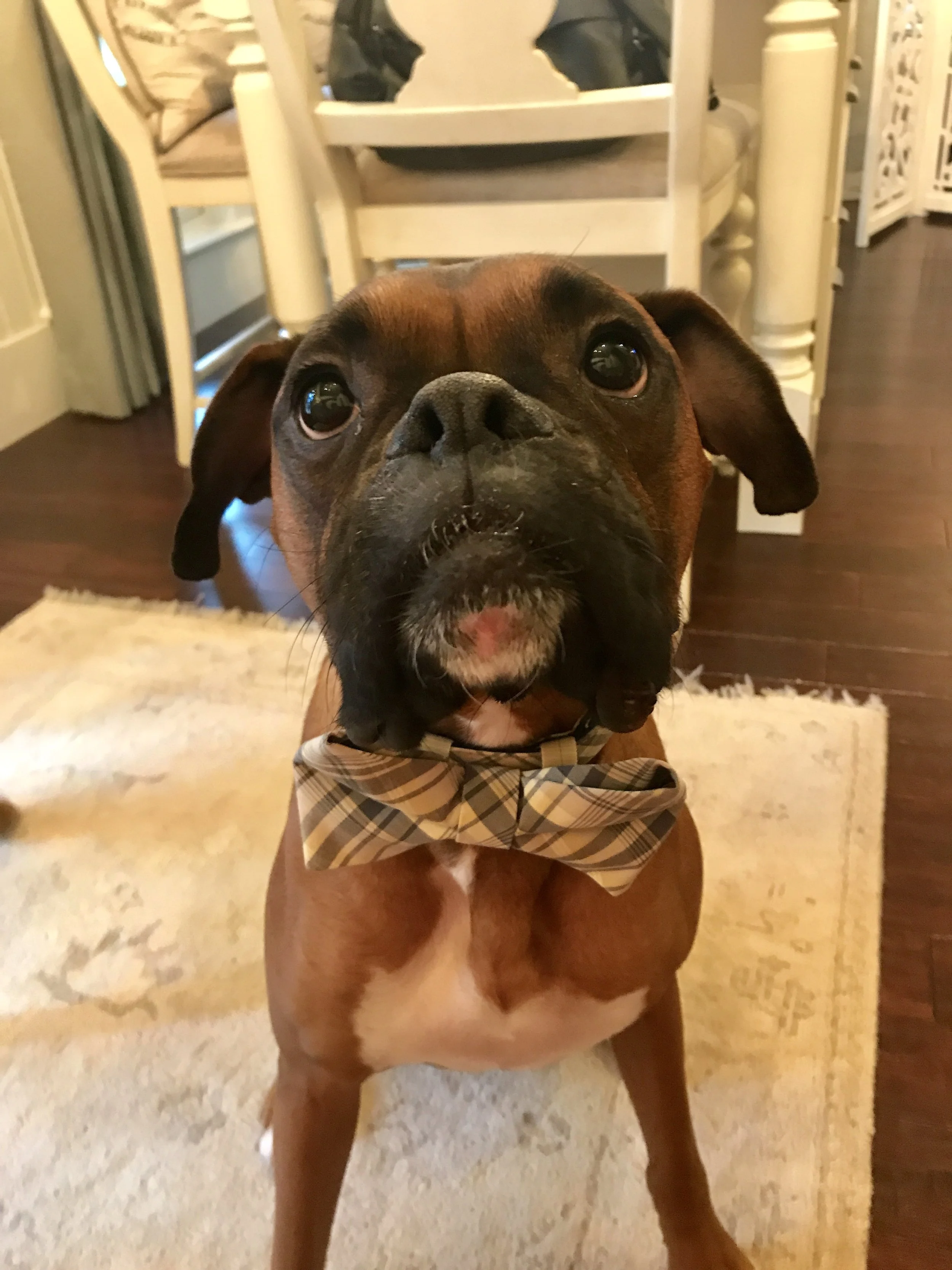 Woody in formal attire!