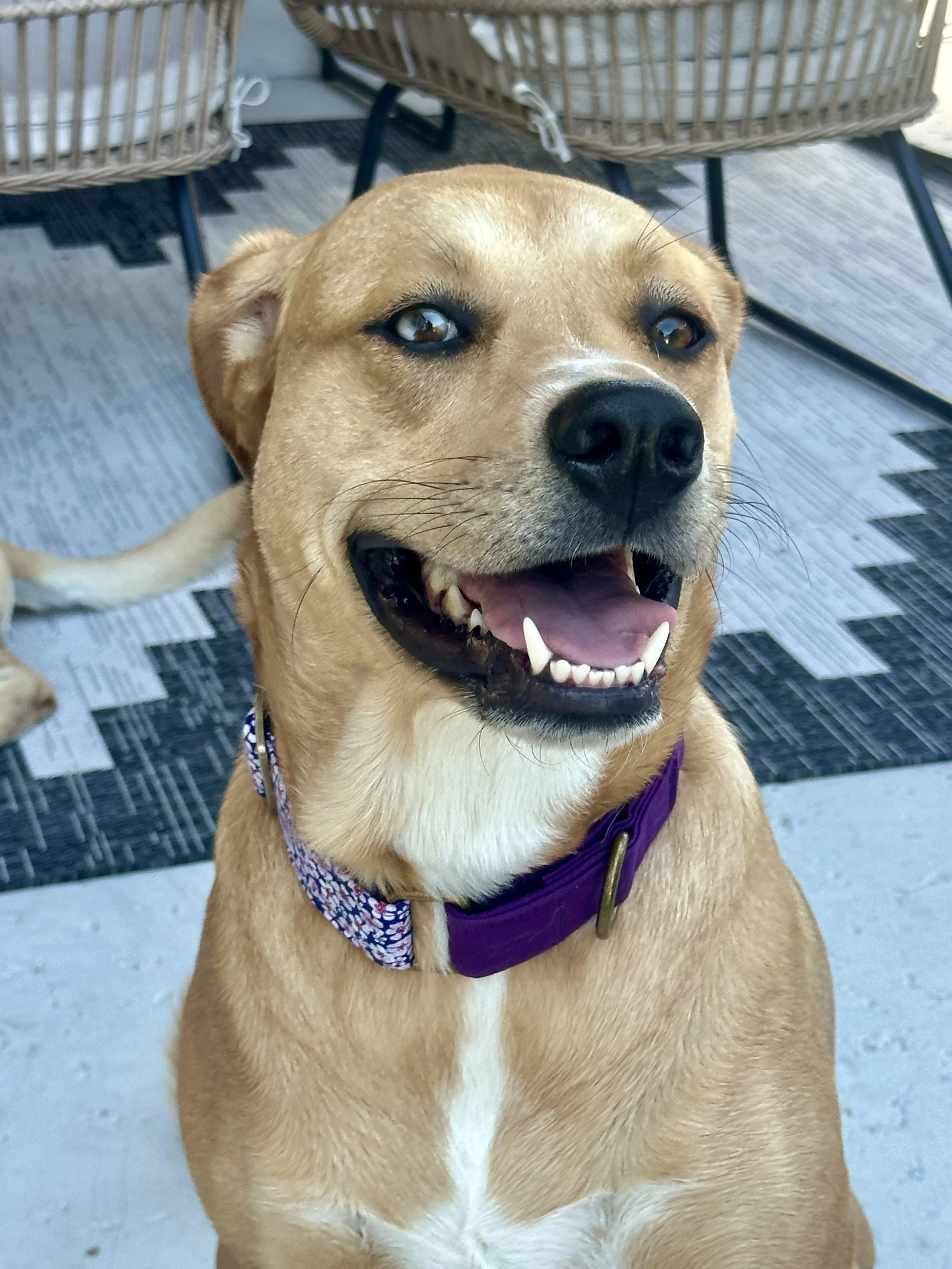 Martha is wearing “Byrdie’s Blossom”