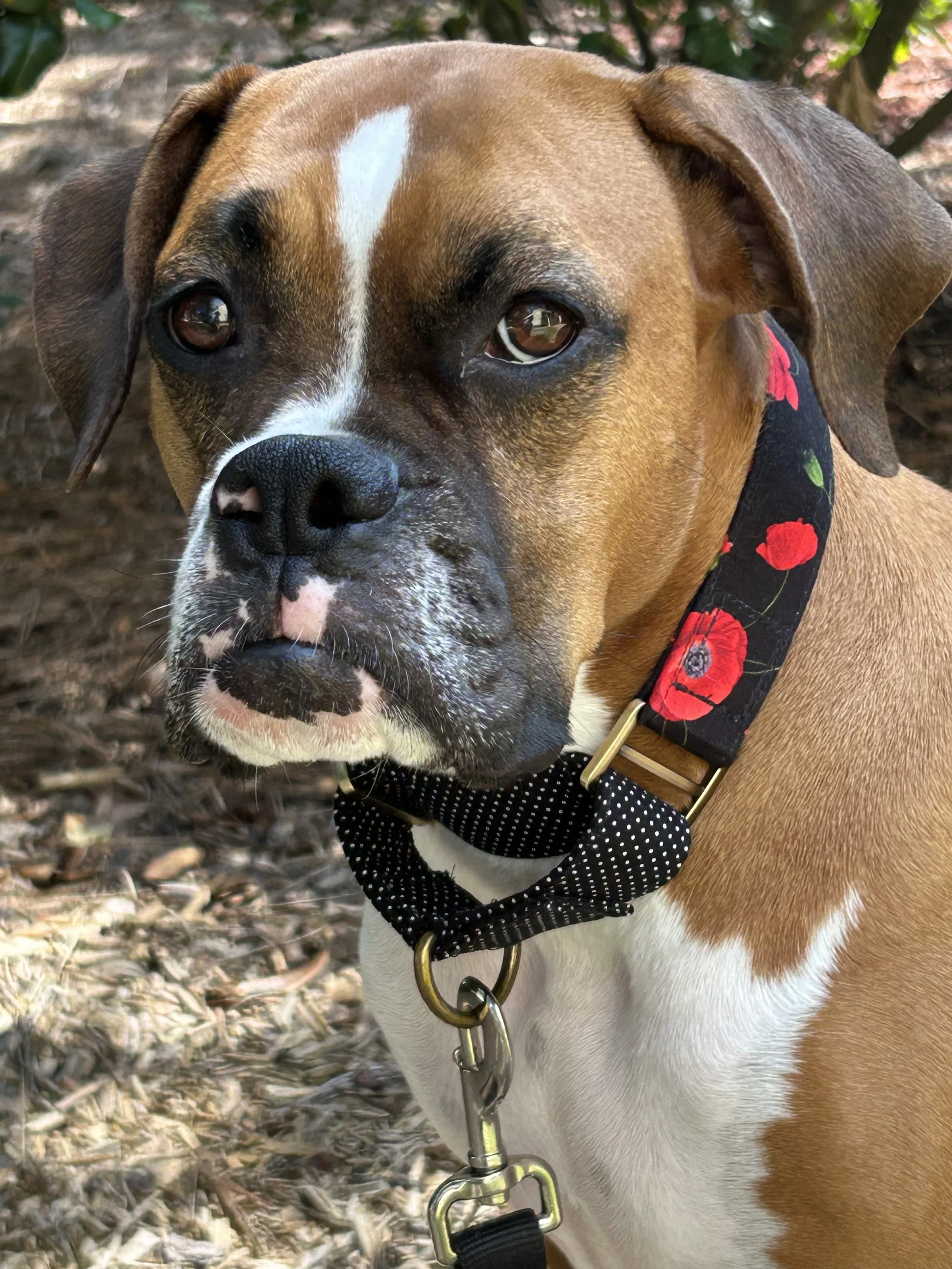 Lacey is wearing “Poppy & Dot”