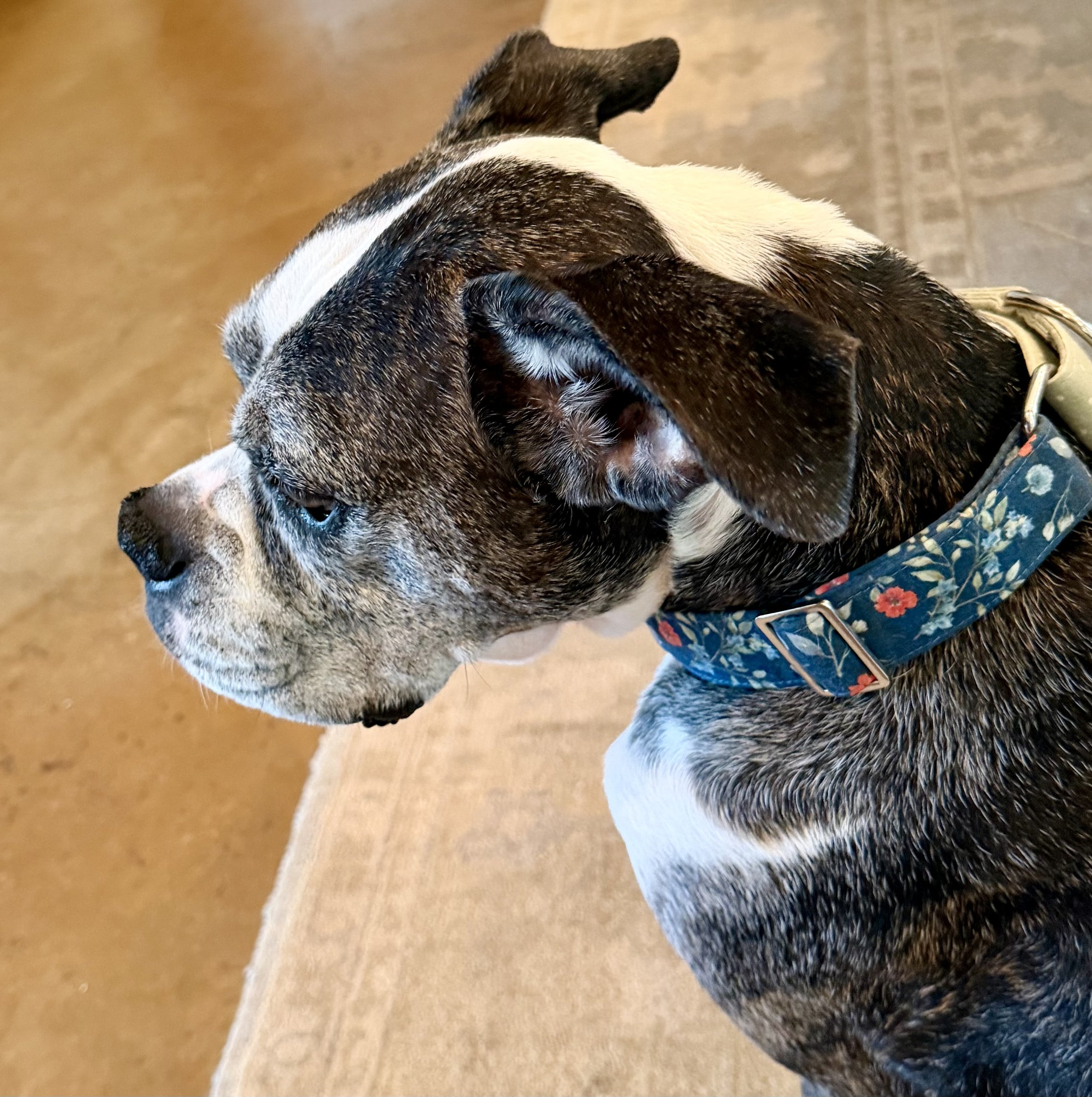 Sophie is wearing “Garden Gate Cottage”