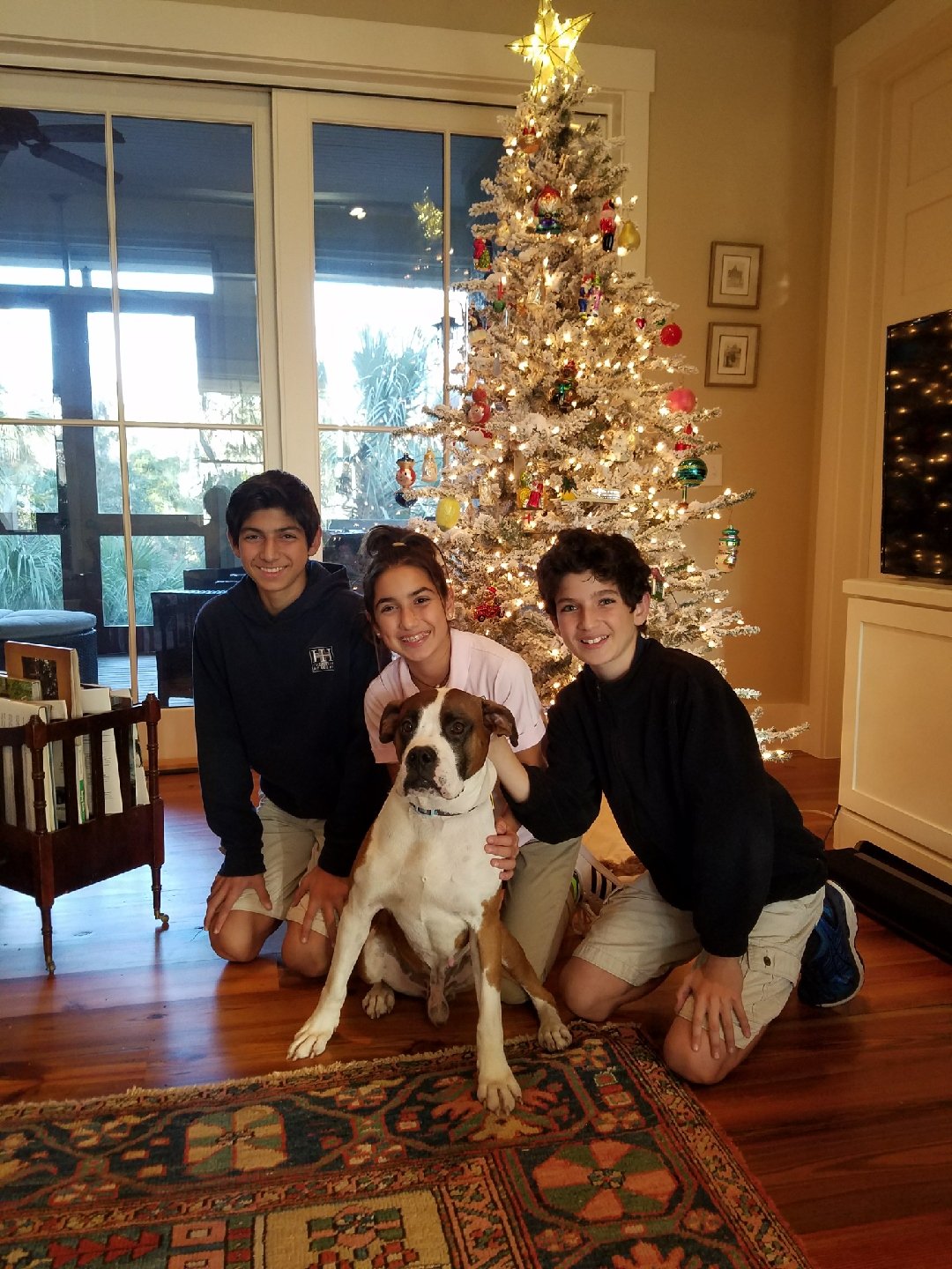 Odie’s siblings at his forever home.