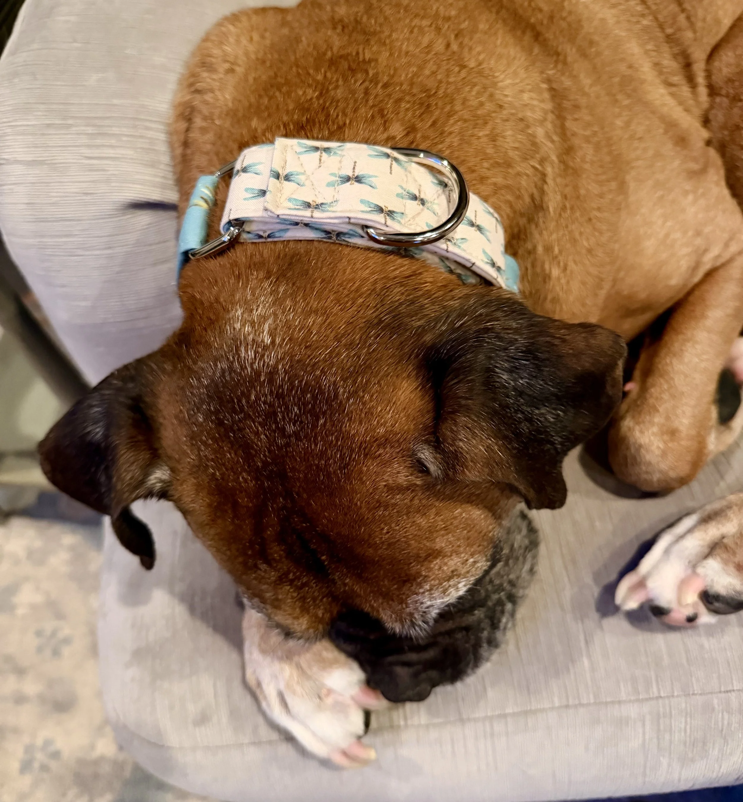 Woody is wearing “Dragonfly Dream”