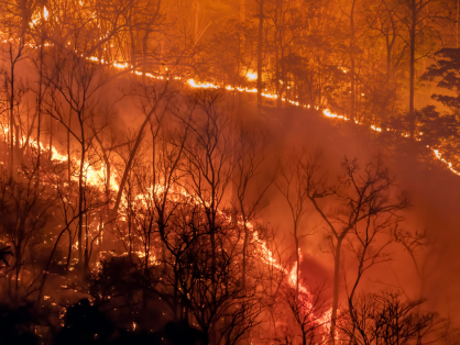 
Misplaced Priorities in the Climate Crisis  