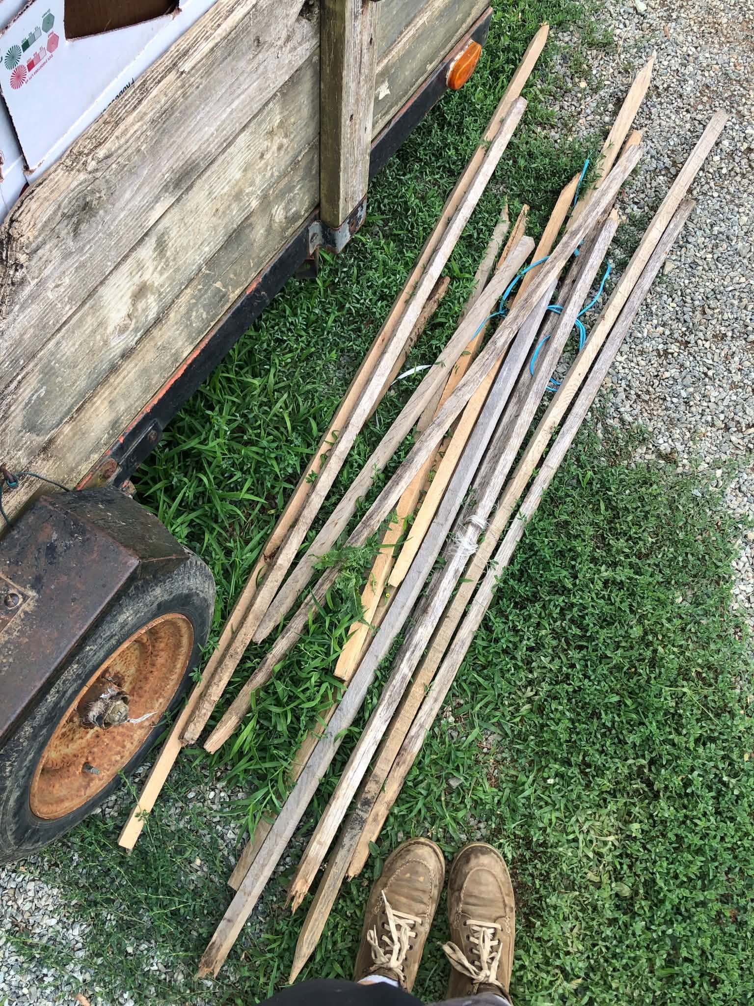 Vegetable Trellis