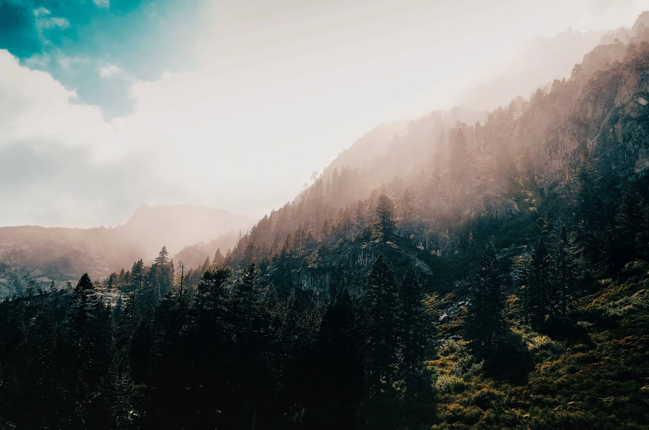 landscape