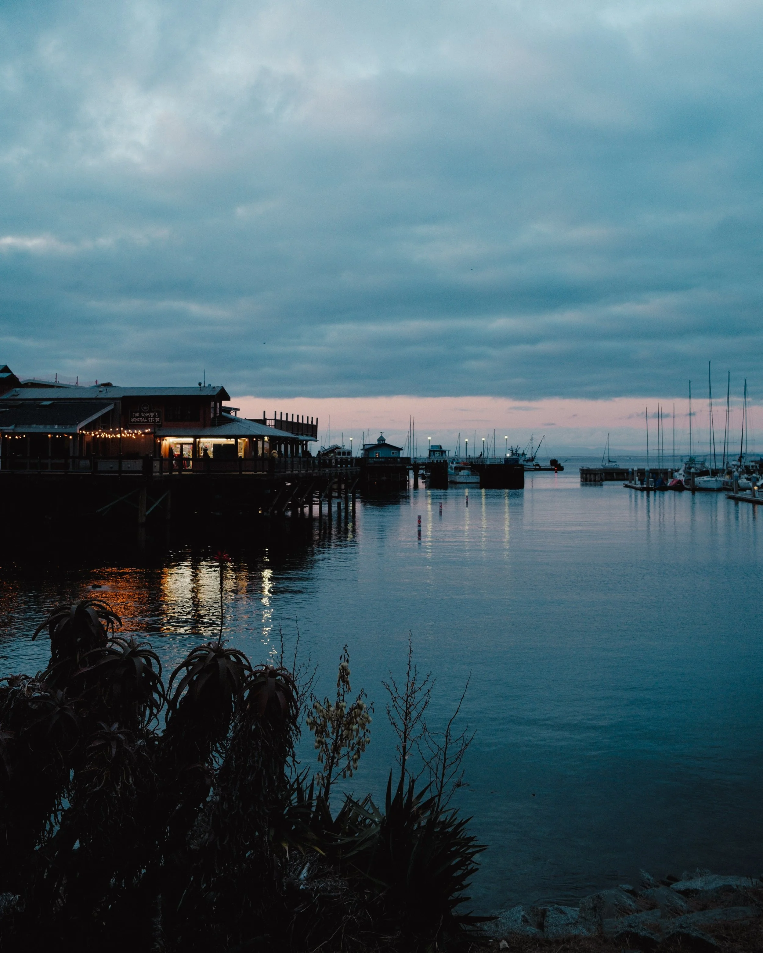 landscape-13.jpg