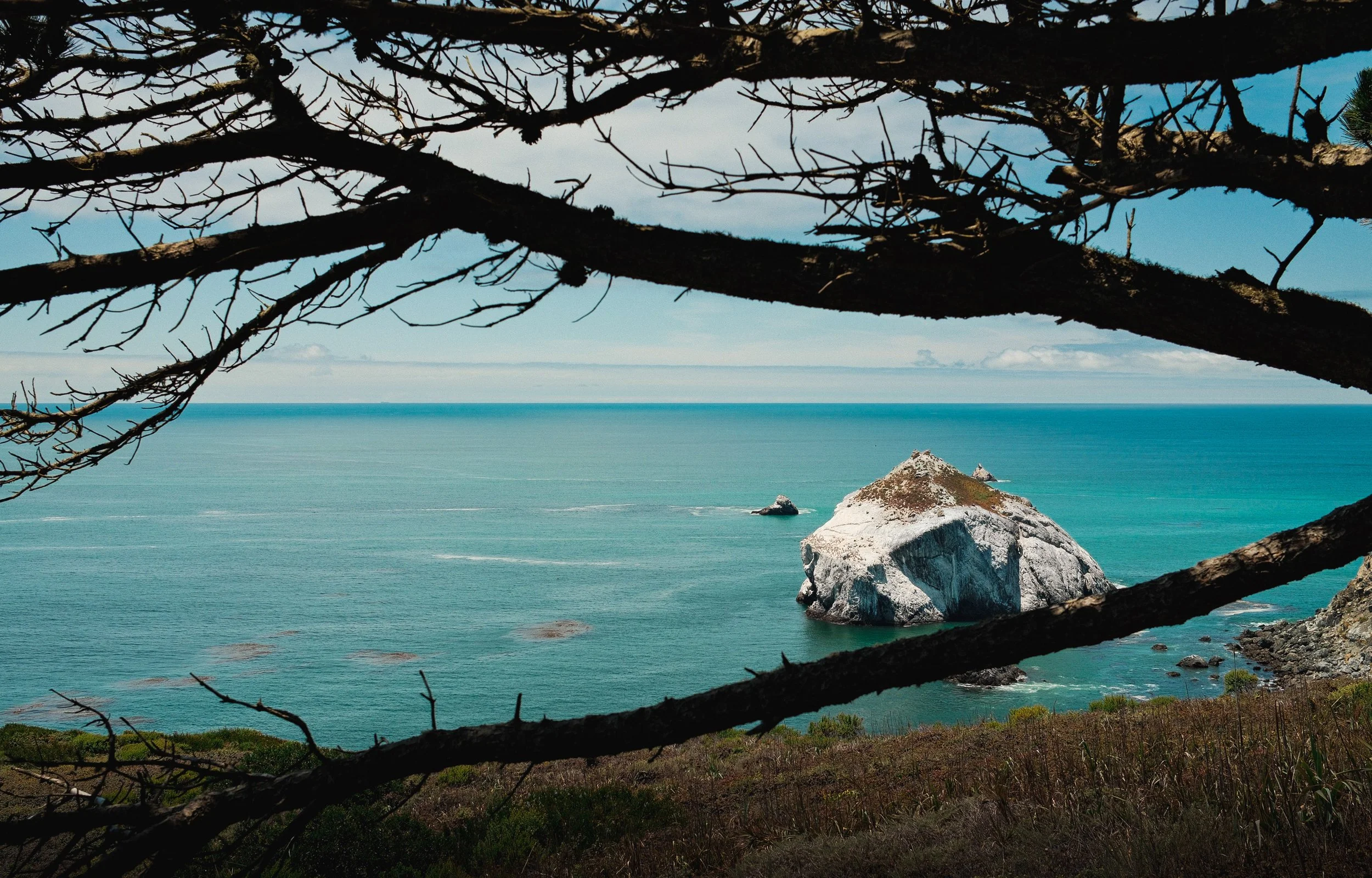 landscape-8.jpg