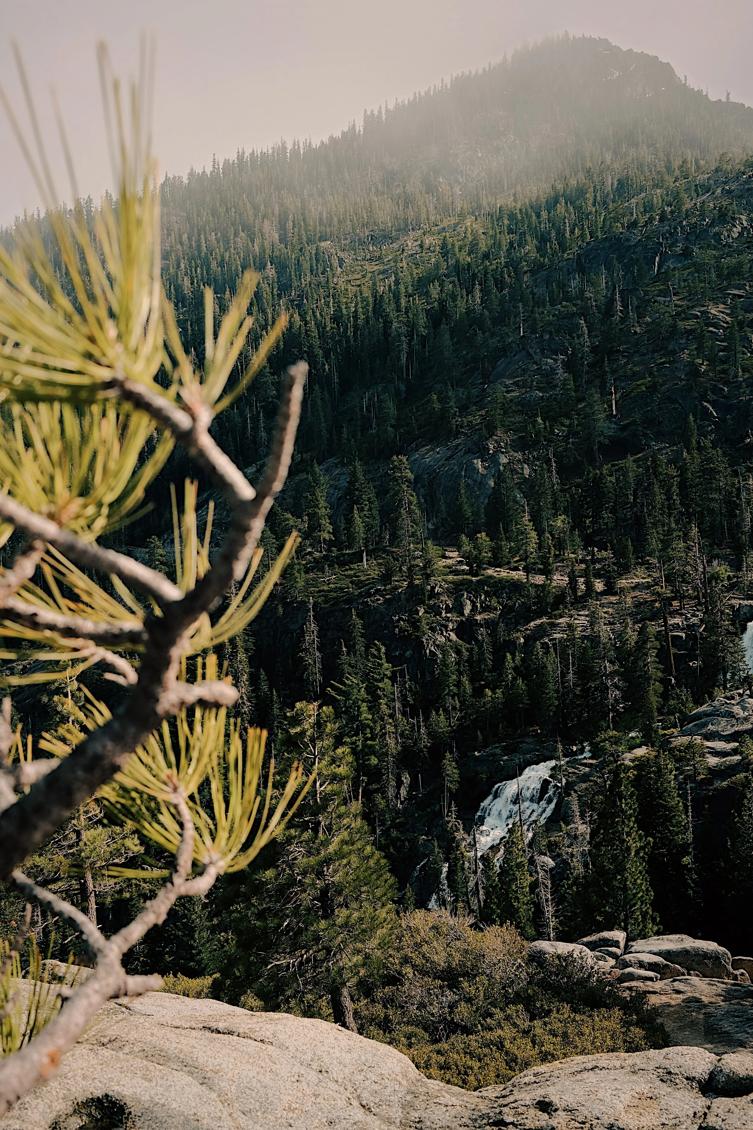 landscape-41.jpg