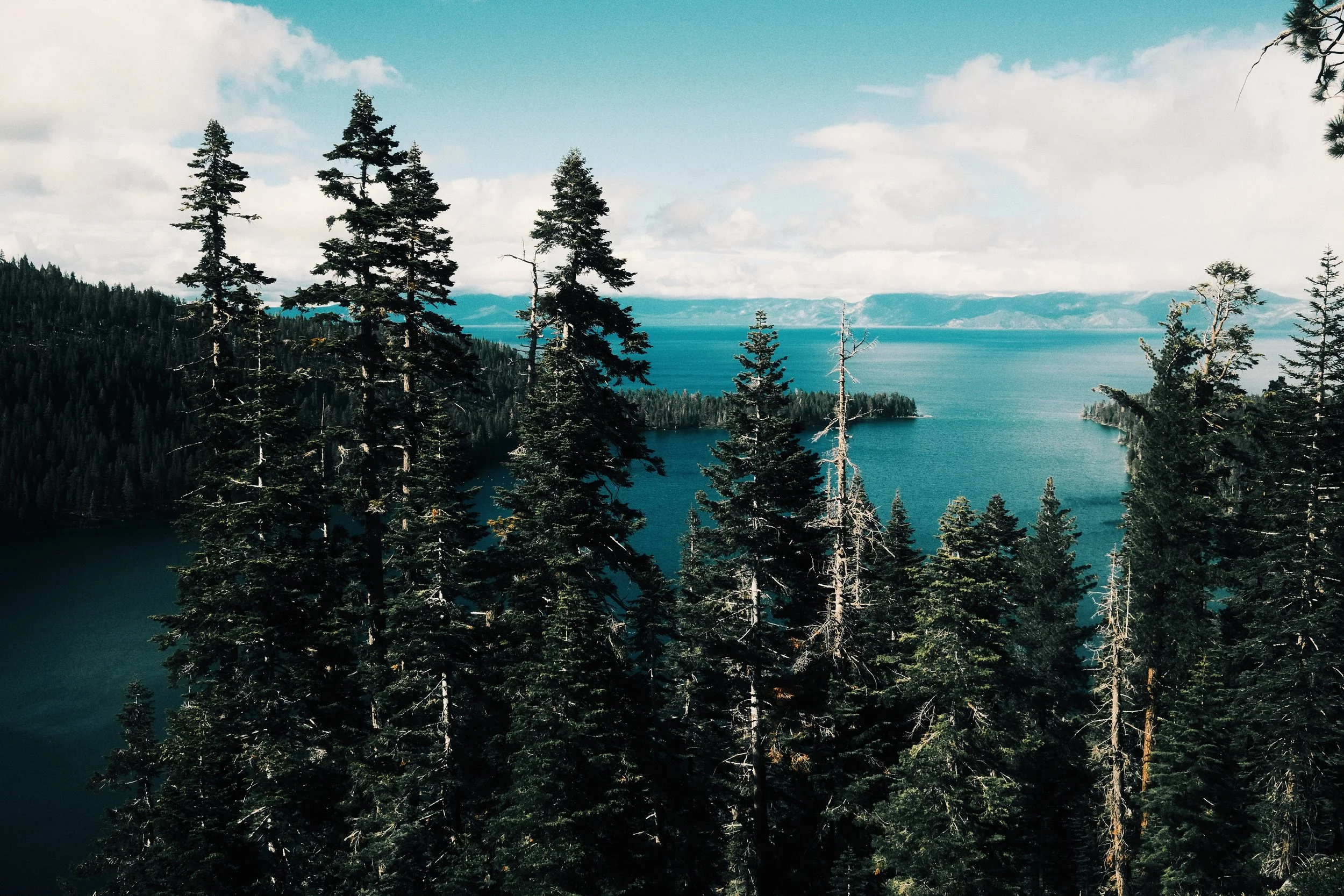 landscape-33.jpg