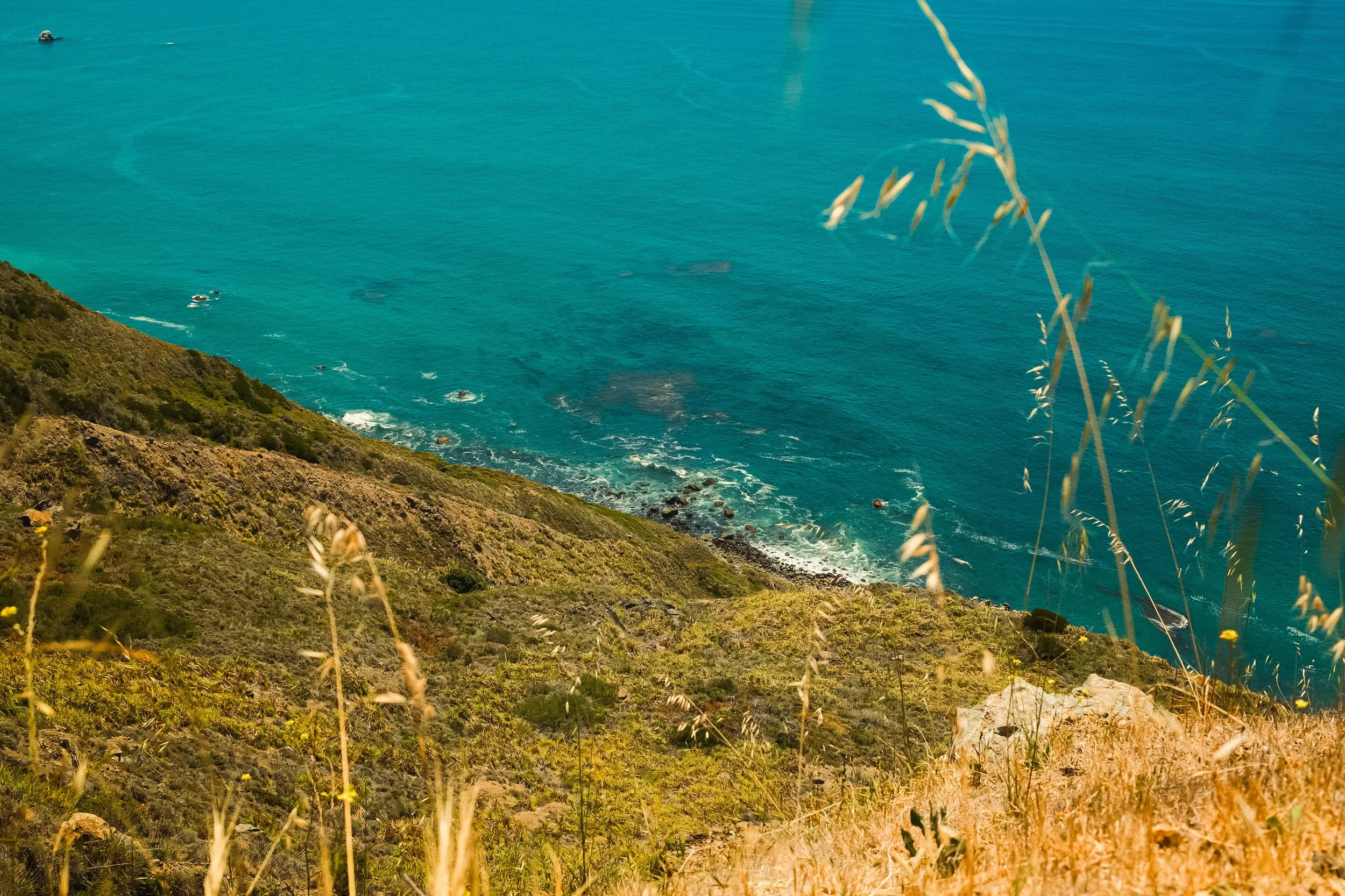 landscape-6.jpg