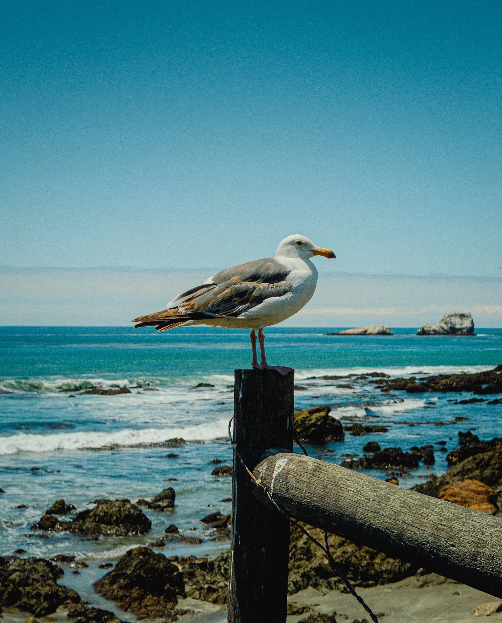 landscape-4.jpg