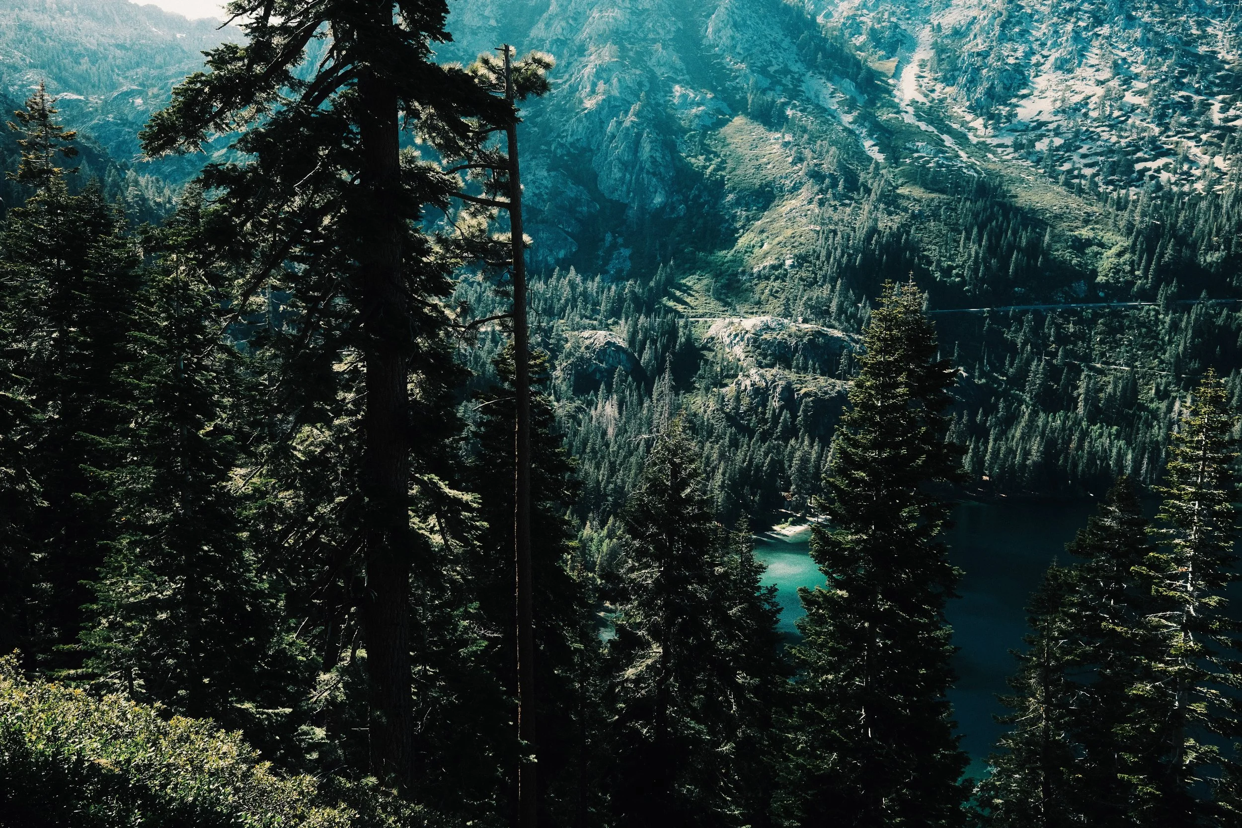 landscape-34.jpg