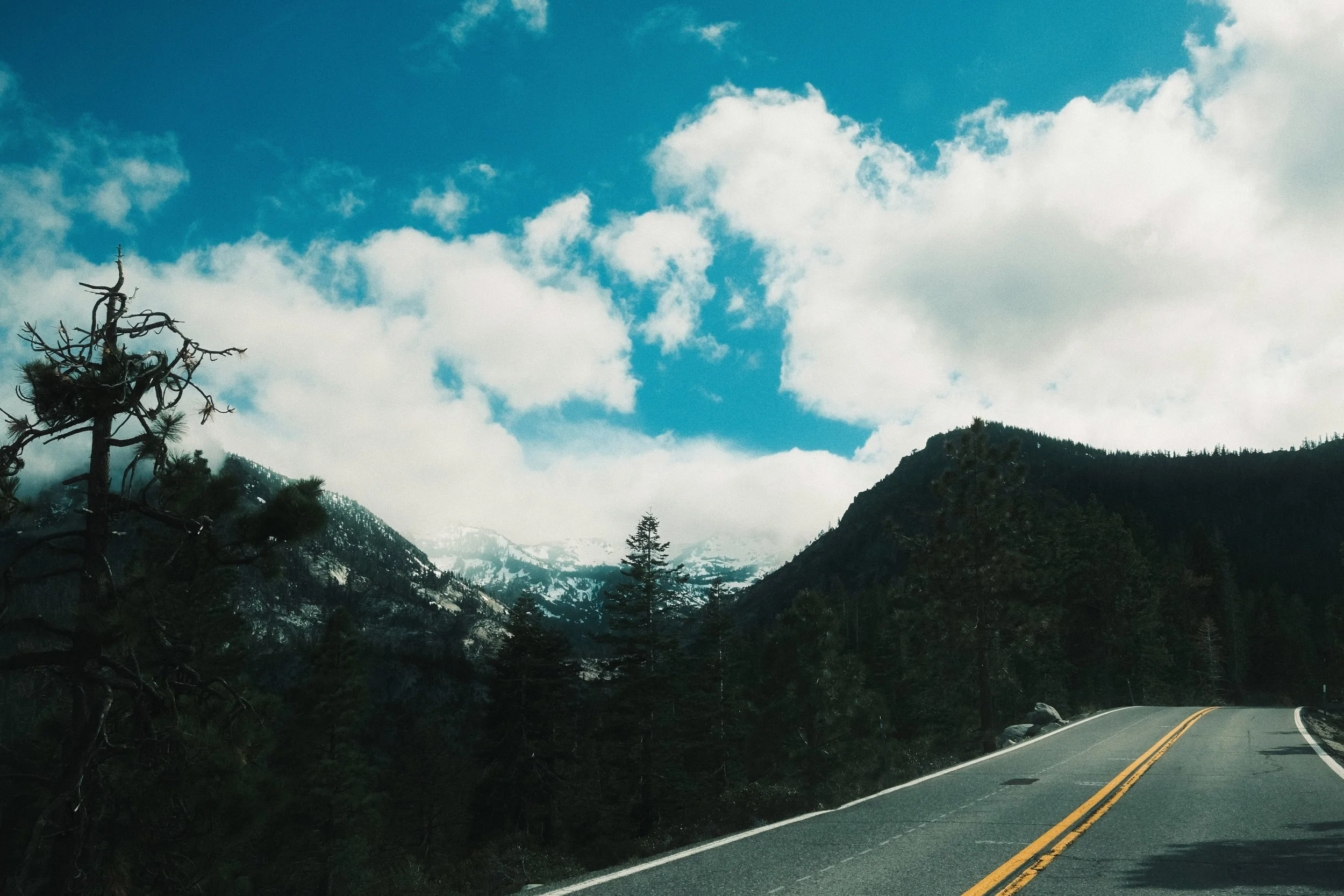landscape-37.jpg