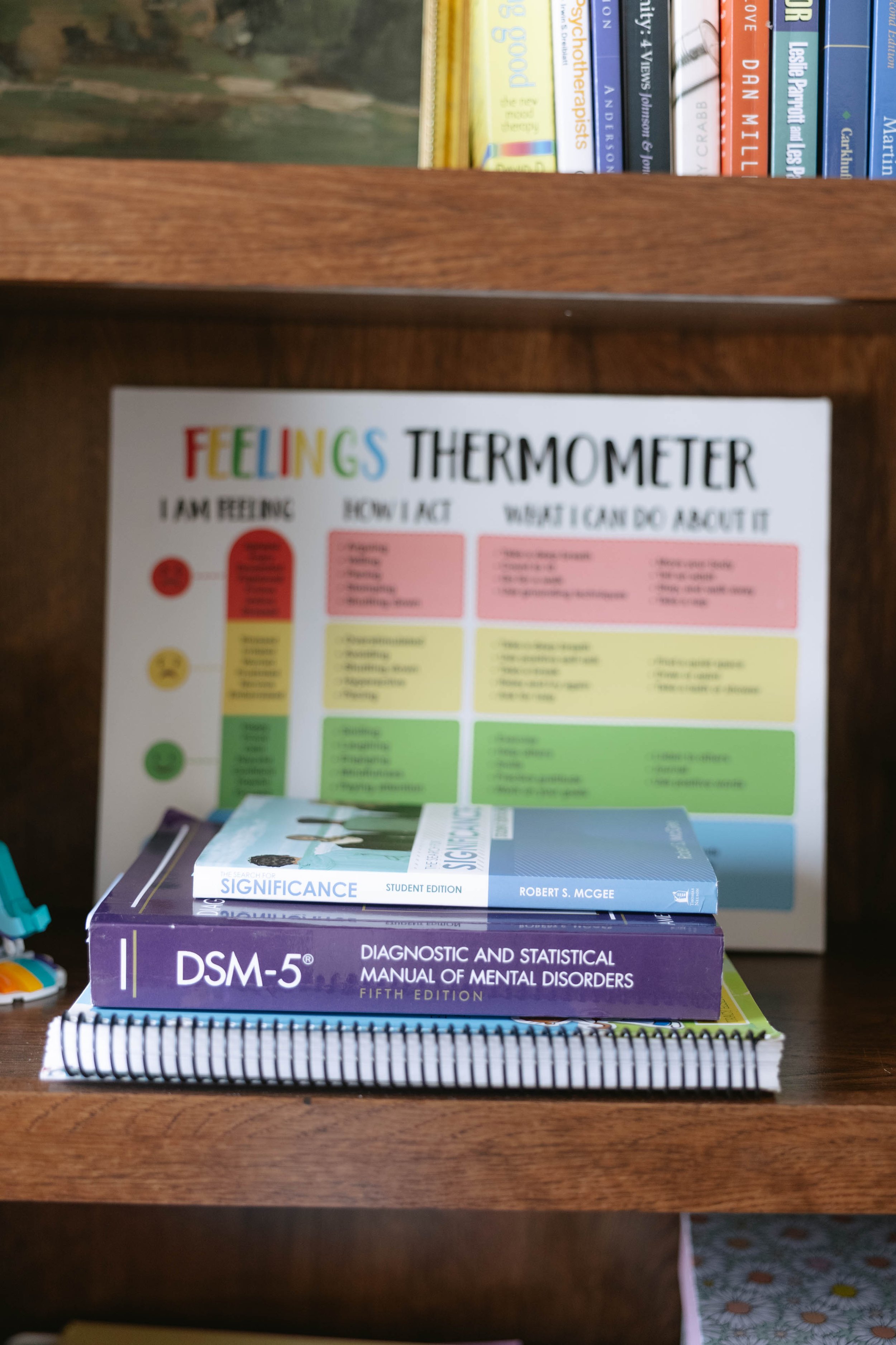 A wooden bookshelf with several books on mental health and psychology, including 'Significance' by Robert S. McGee and the DSM-5 manual on mental disorders, beneath a colorful 'Feelings Thermometer' chart.