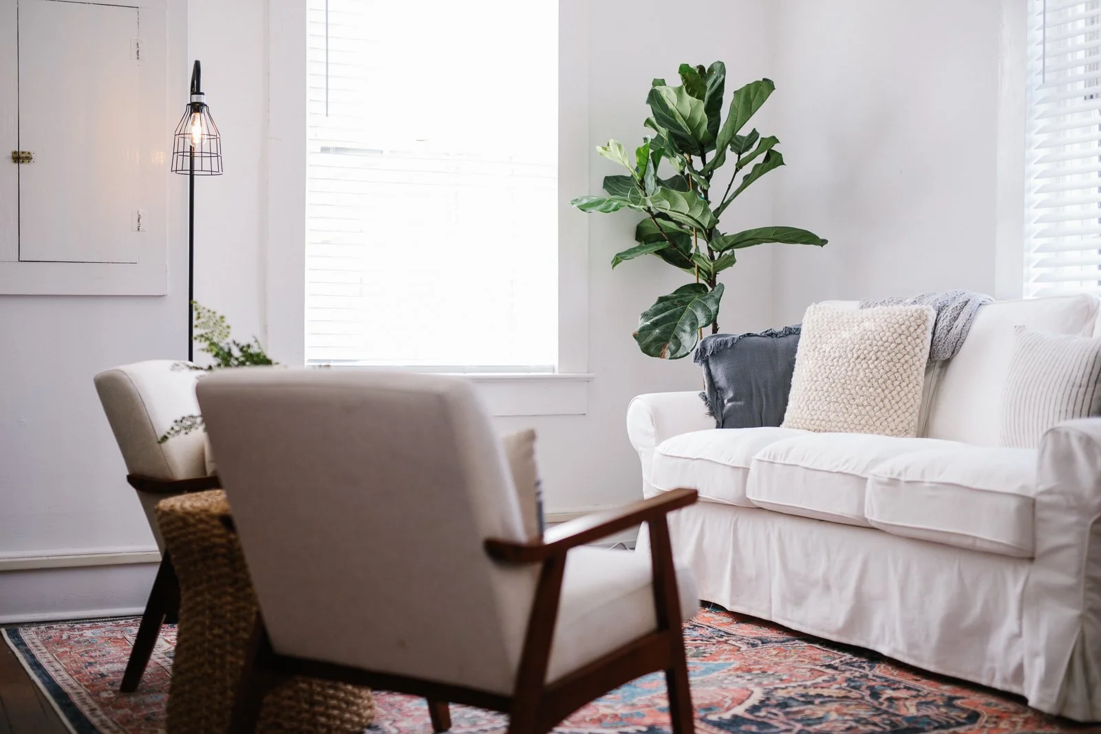 Bright living room with white sofa, large green plant, and patterned rug.
