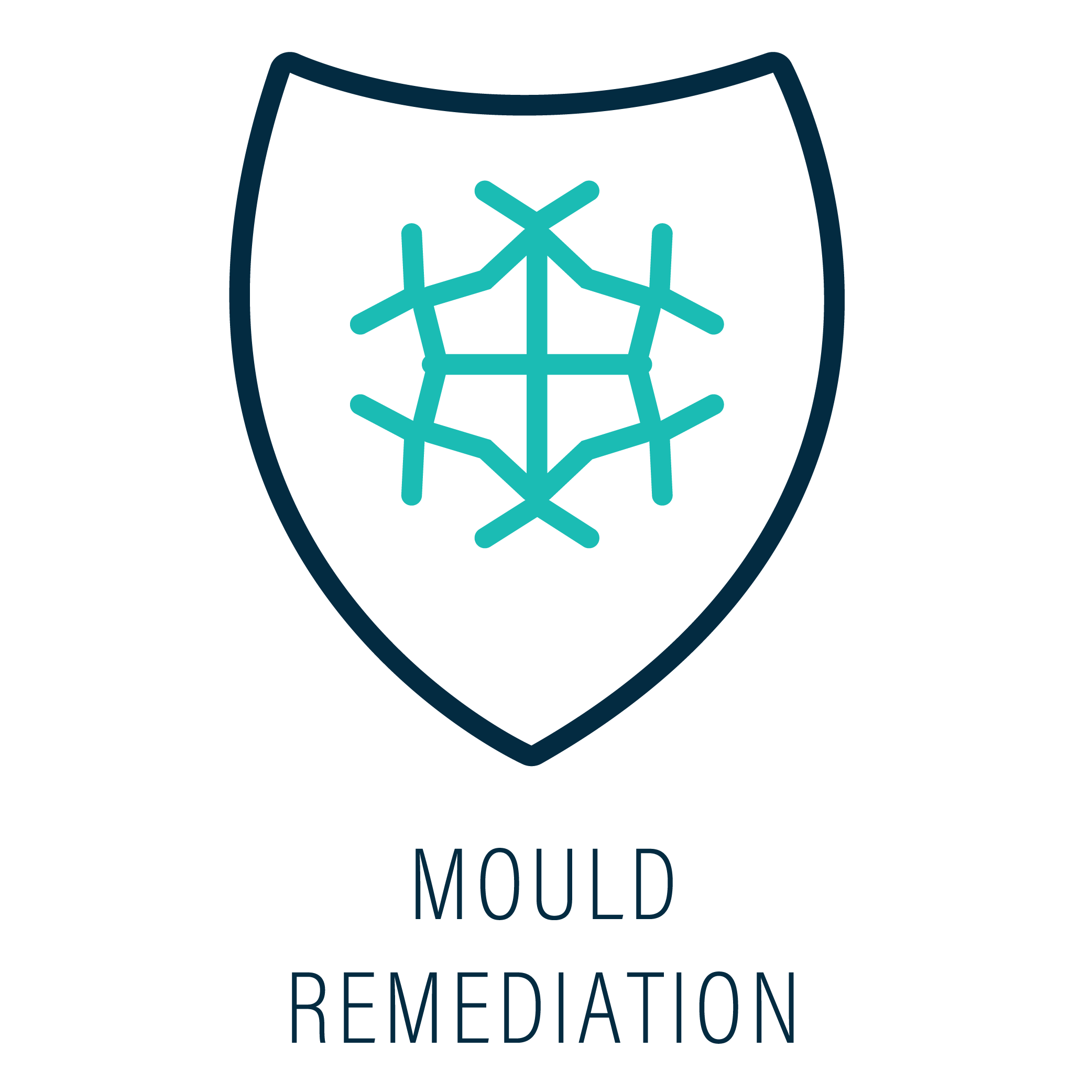 mould remediation.png