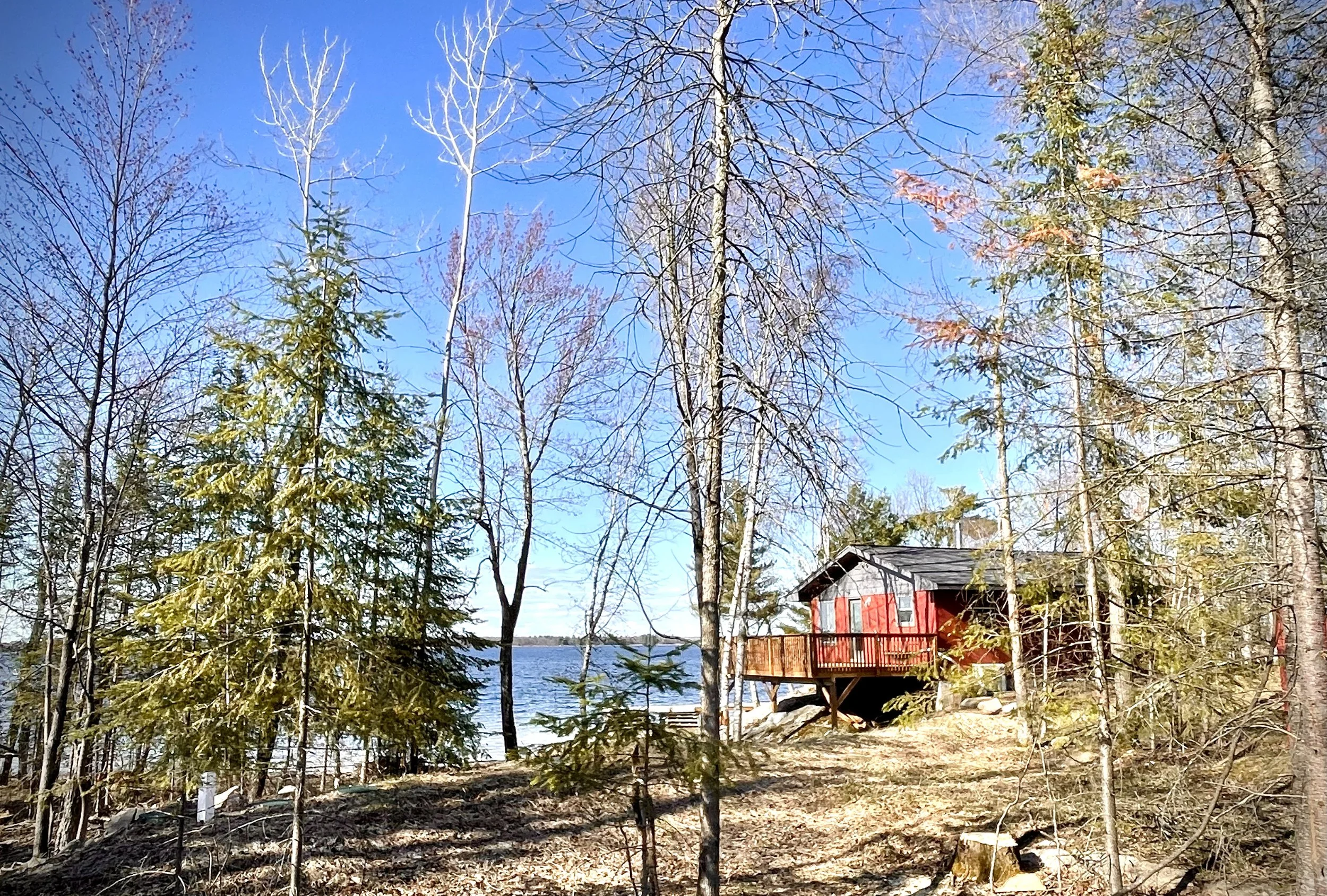 Cabinthroughwoods.jpg