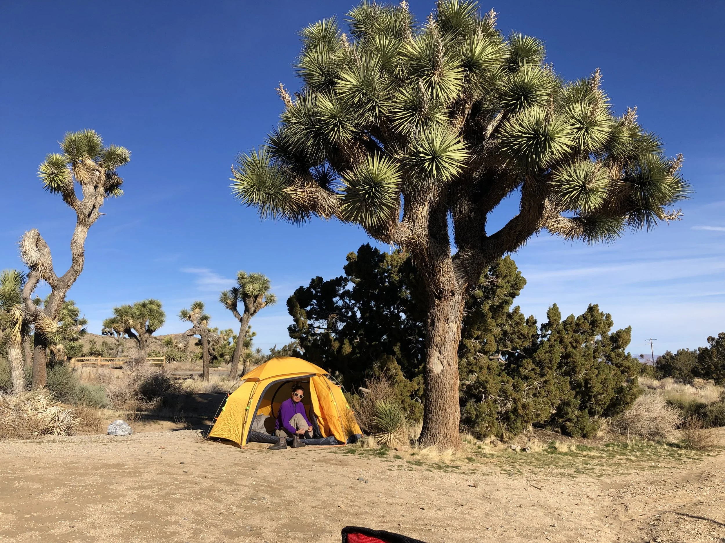 Joshua Tree National Park, CA