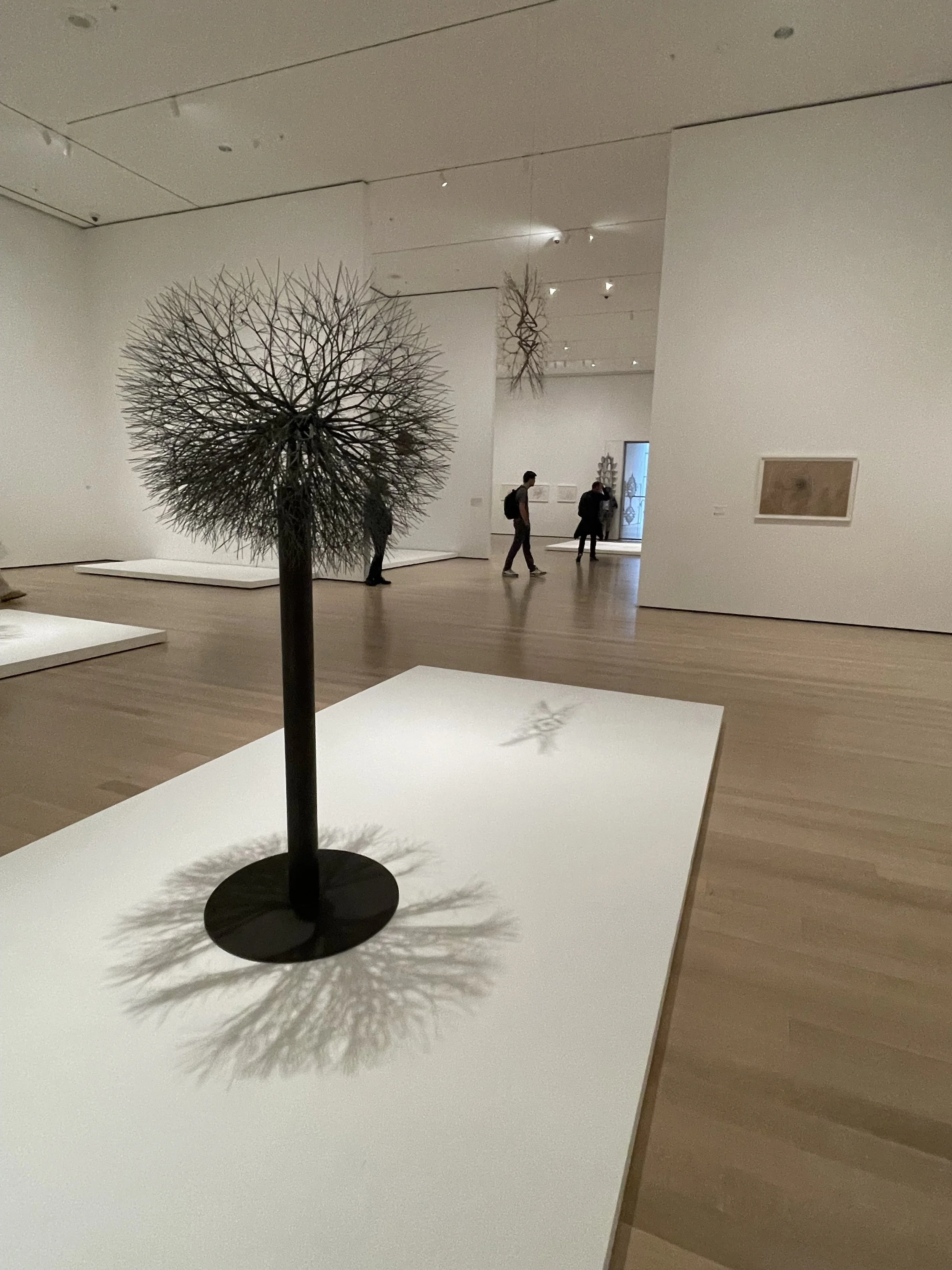 Untitled (S.211, Freestanding Tied-Wire, Center-Tied, Multi-Branched Tree Form), by Ruth Asawa (c. 1965)