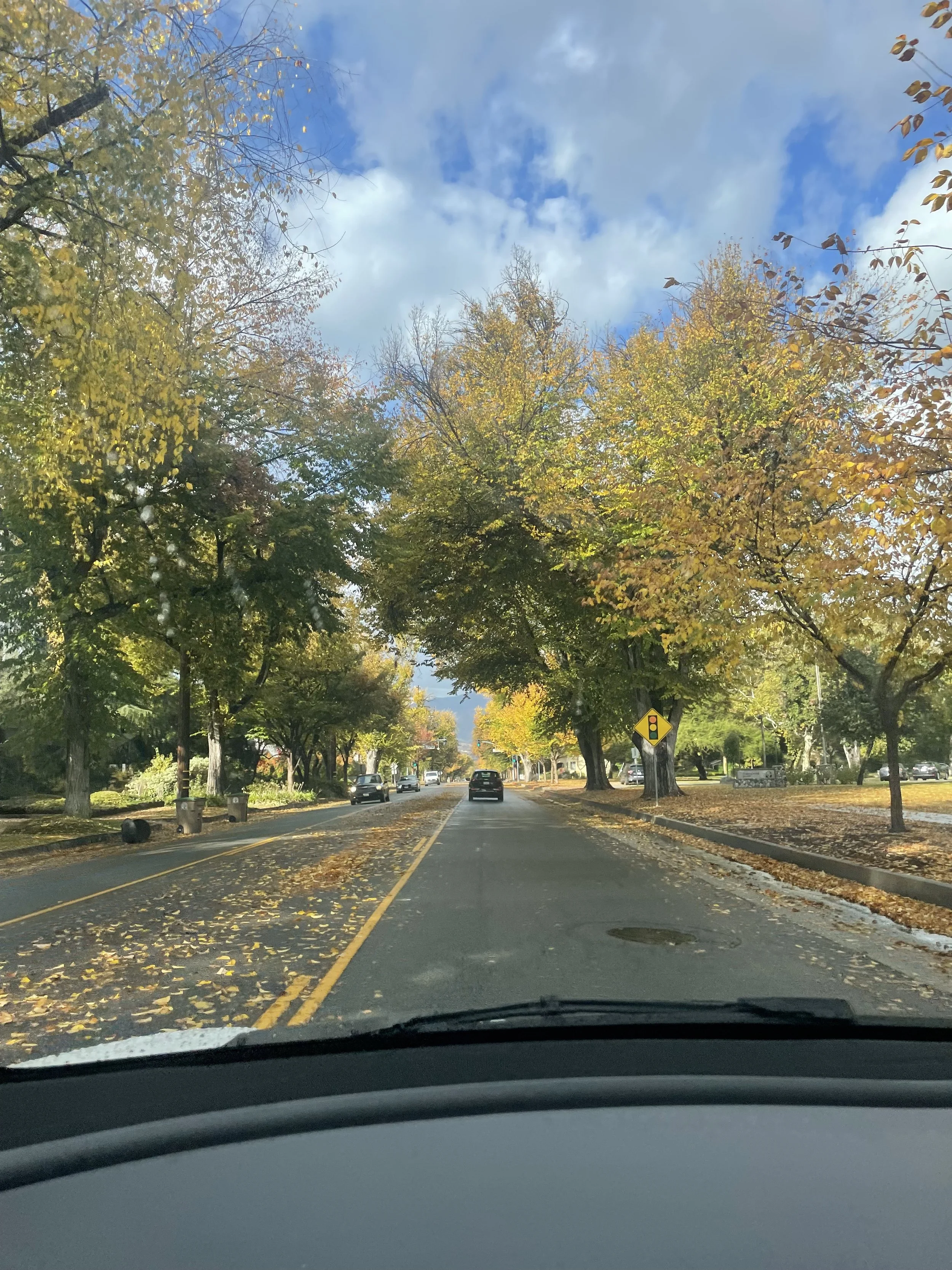 Driving Indian Hill Blvd, Claremont, CA