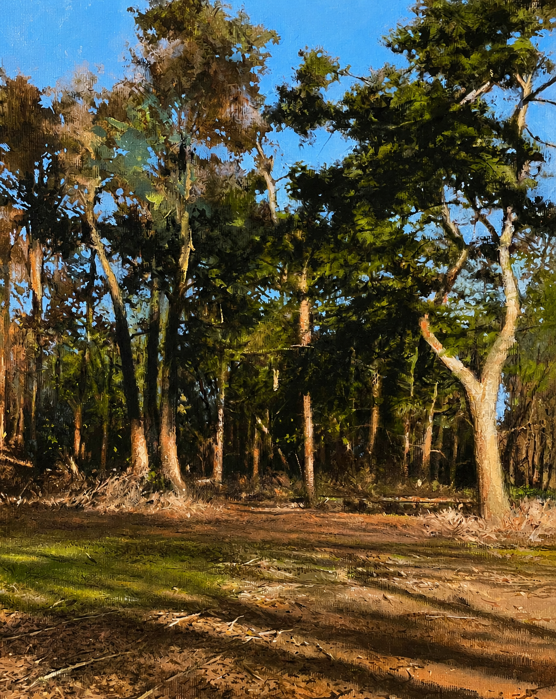 Devils Punchbowl Hindhead_Cropped.png
