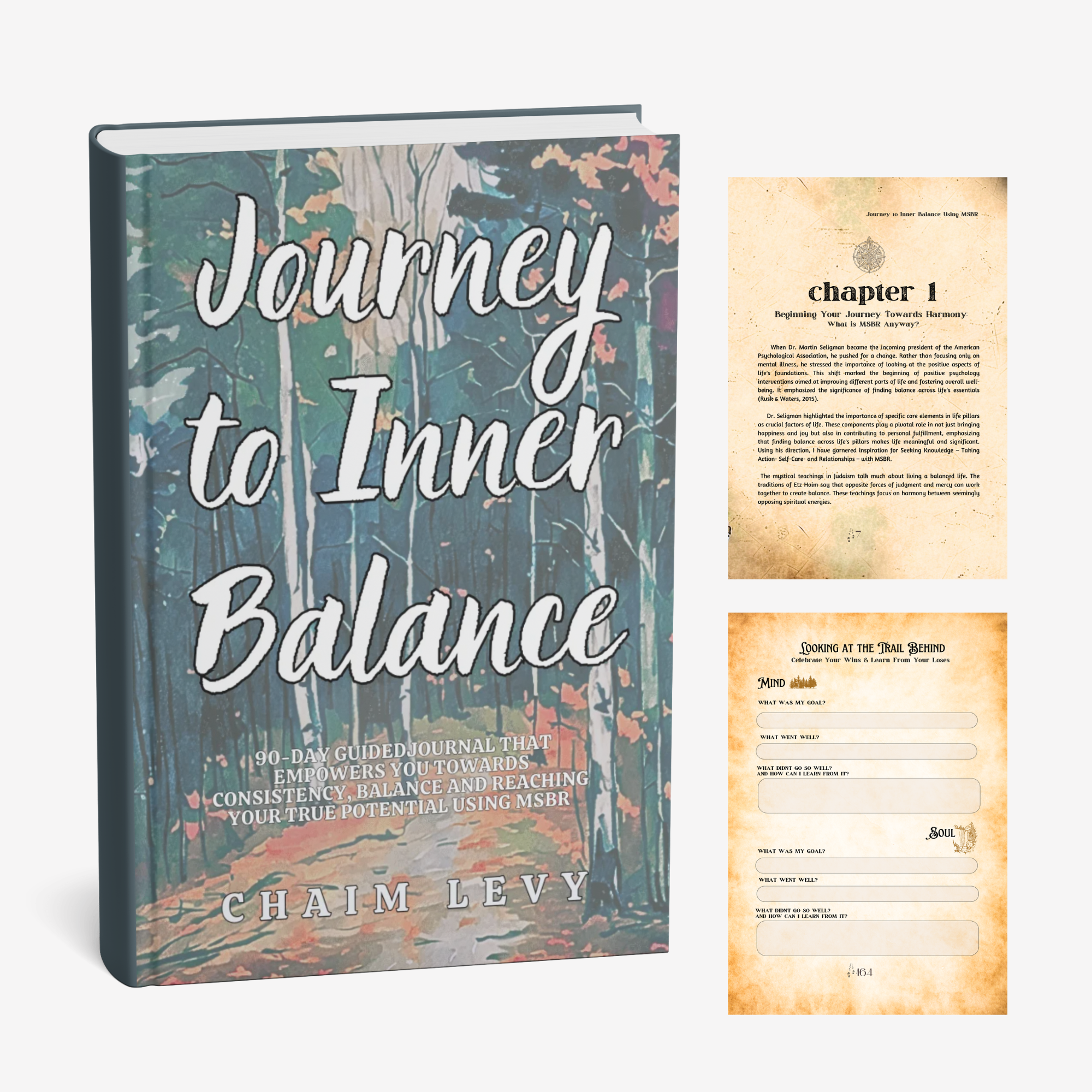 "Journey to Inner Balance,"  a highly artistic journal written by Chaim Levy; edited, and designed by Lyndsay Stanley