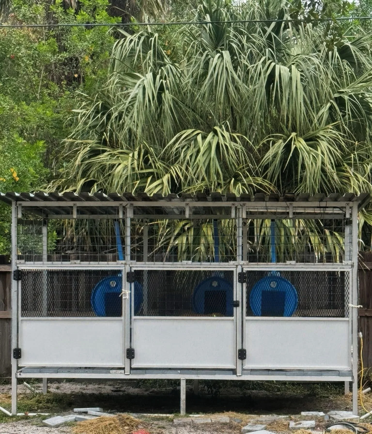 A large dog cage in front of lush green trees and plants, with a roof made of corrugated metal sheets supported by a metal frame.