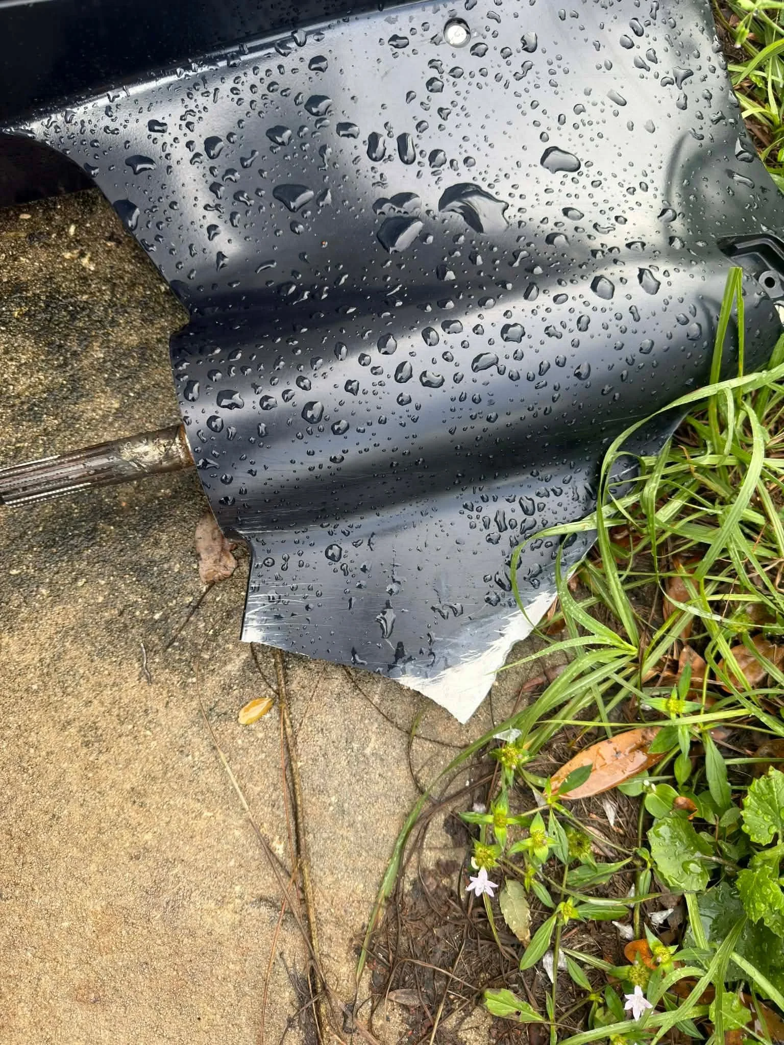 A black plastic sheet with water droplets, partially covering the concrete ground and lush green plants and flowers on the right side.
