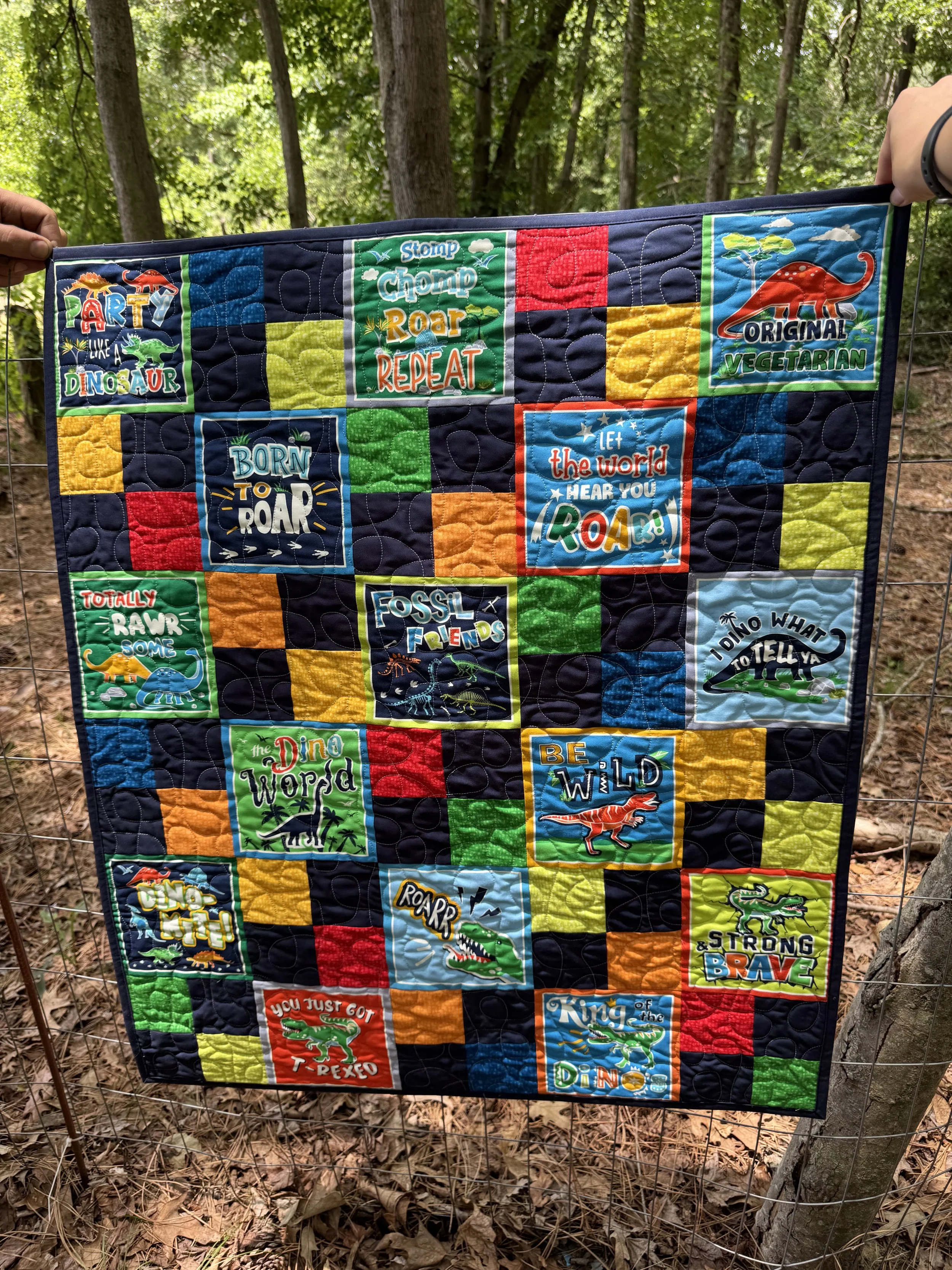 A colorful quilt hanging on a wire fence outdoors, featuring various dinosaur-themed and motivational phrases with illustrations of dinosaurs and nature.