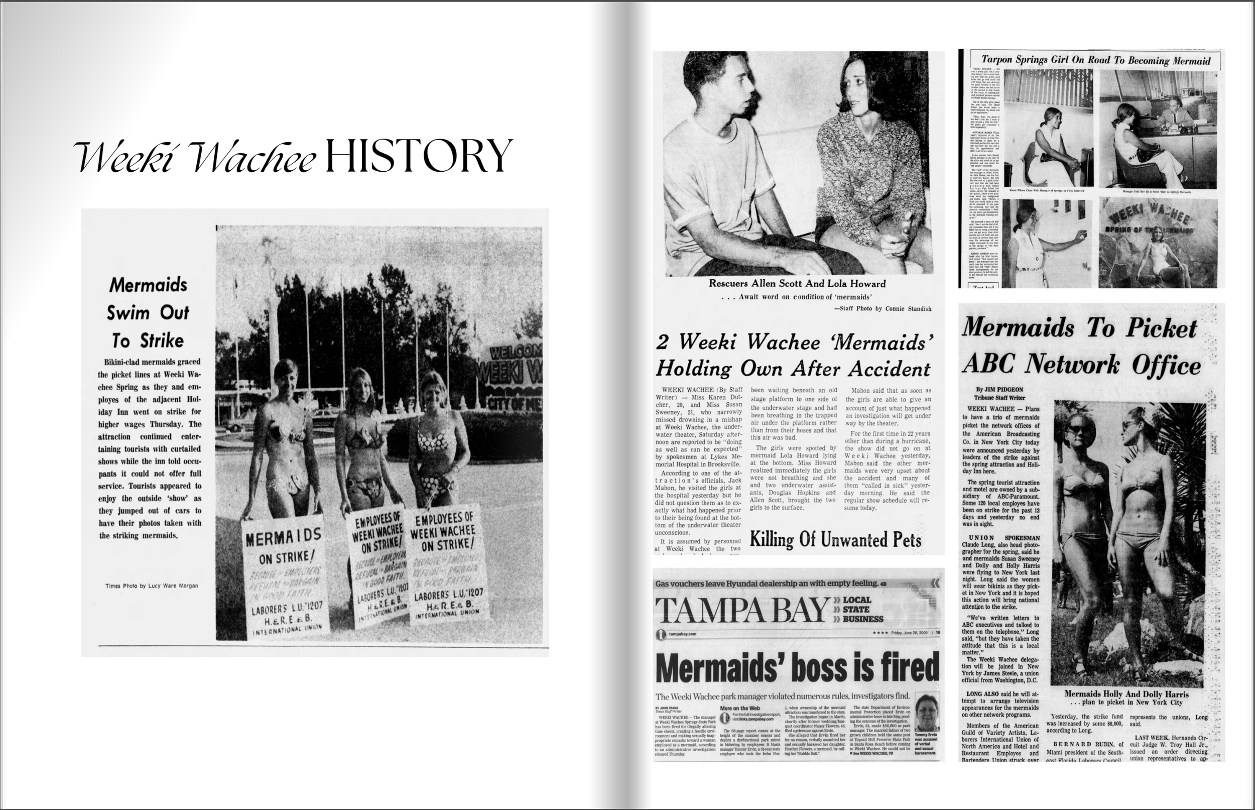 Daughters of the Springs Pitch Deck by Debi Canterbury. A newspaper spread with articles and black-and-white photos about the Weeki Wachee mermaid activities, including protests, a rescue, and a mermaid parade.