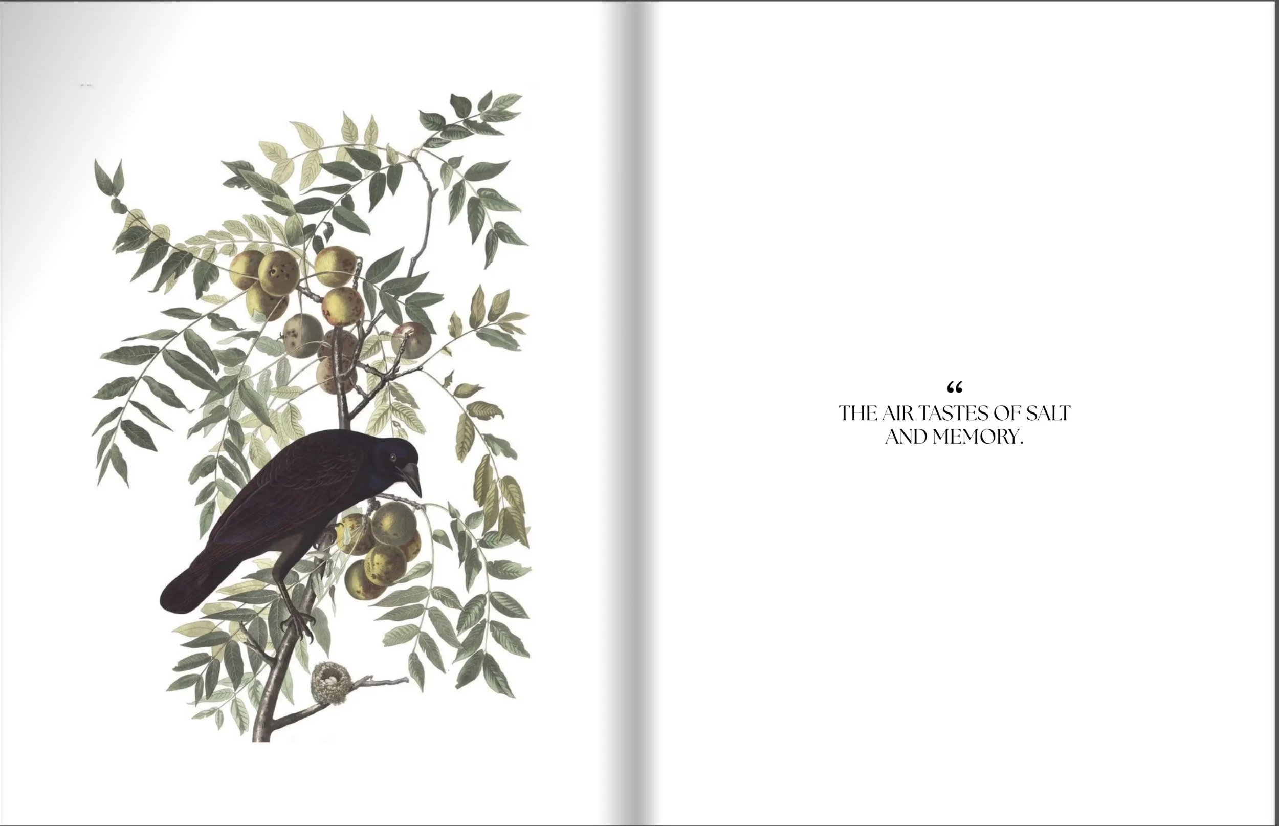 Pages 14-15.jpg
