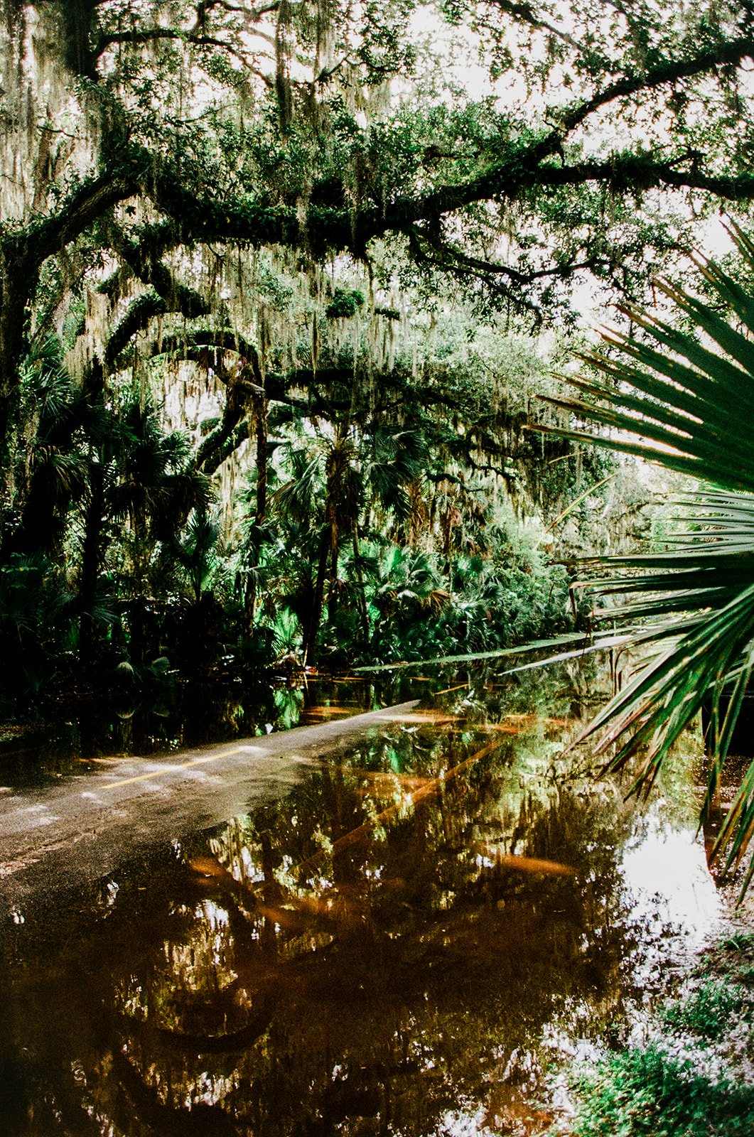 Florida on Film159_websize.jpg