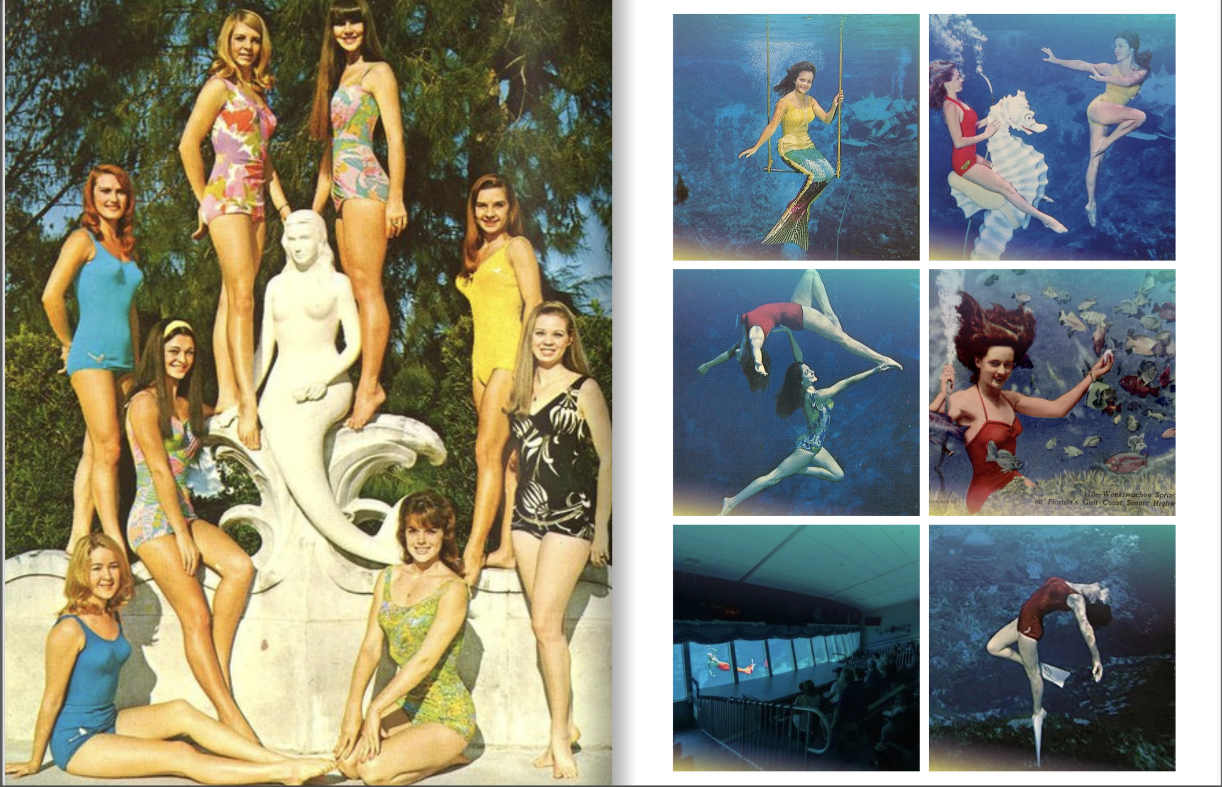 Daughters of the Springs Pitch Deck by Debi Canterbury. The Weeki Wachee Mermaids, historical images.