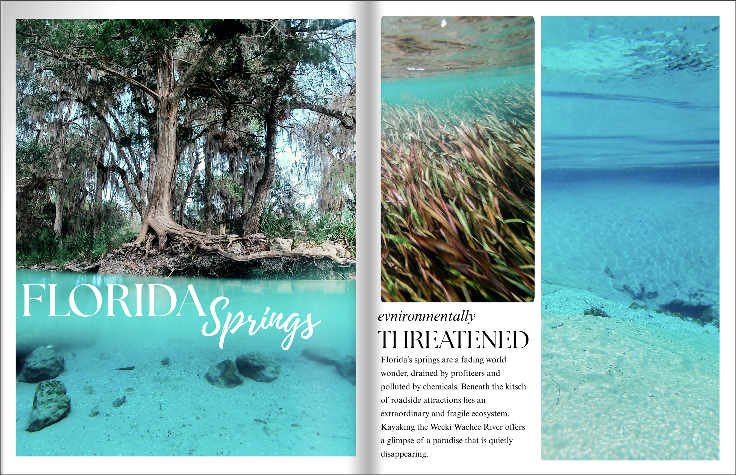 Daughters of the Springs Pitch Deck by Debi Canterbury, these pages highlight the Florida Springs.
