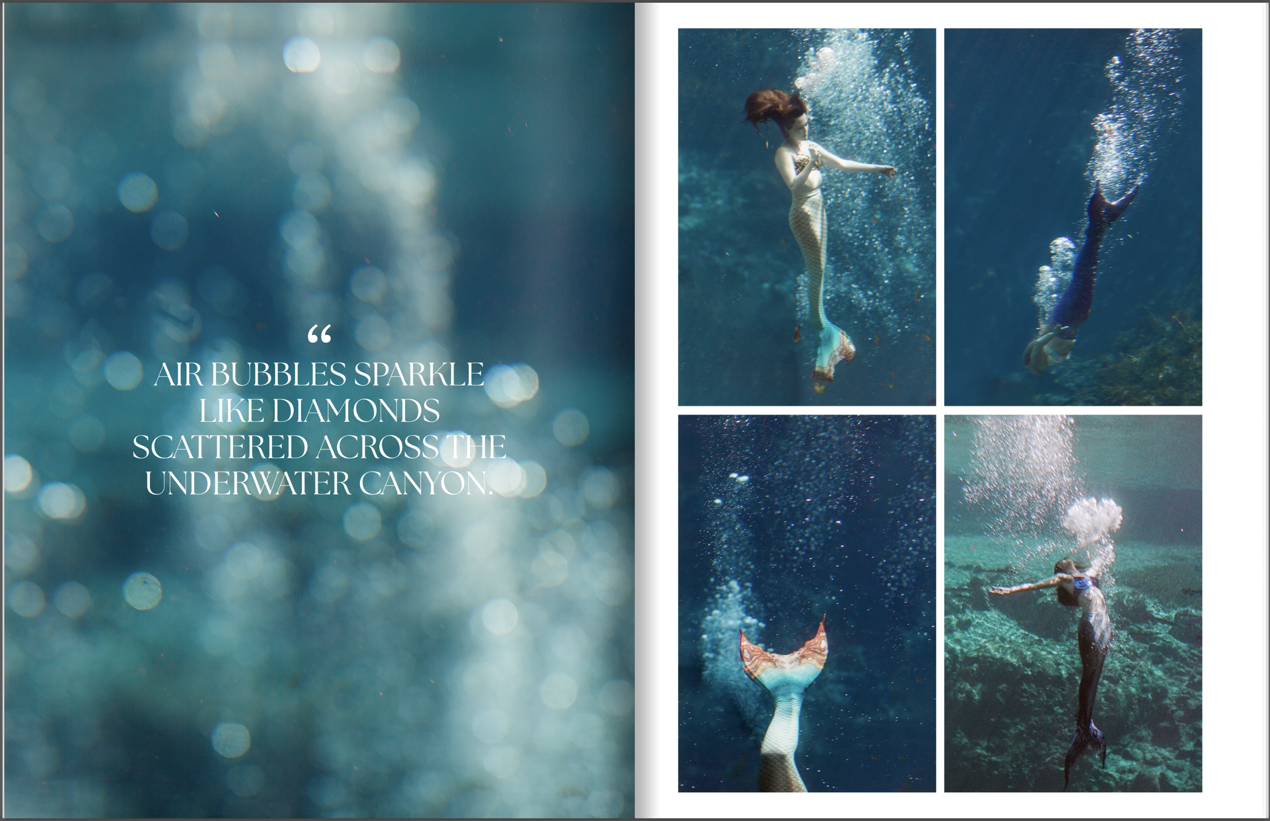 Daughters of the Springs Pitch Deck by Debi Canterbury. A collage with text and photographs of underwater scenes.