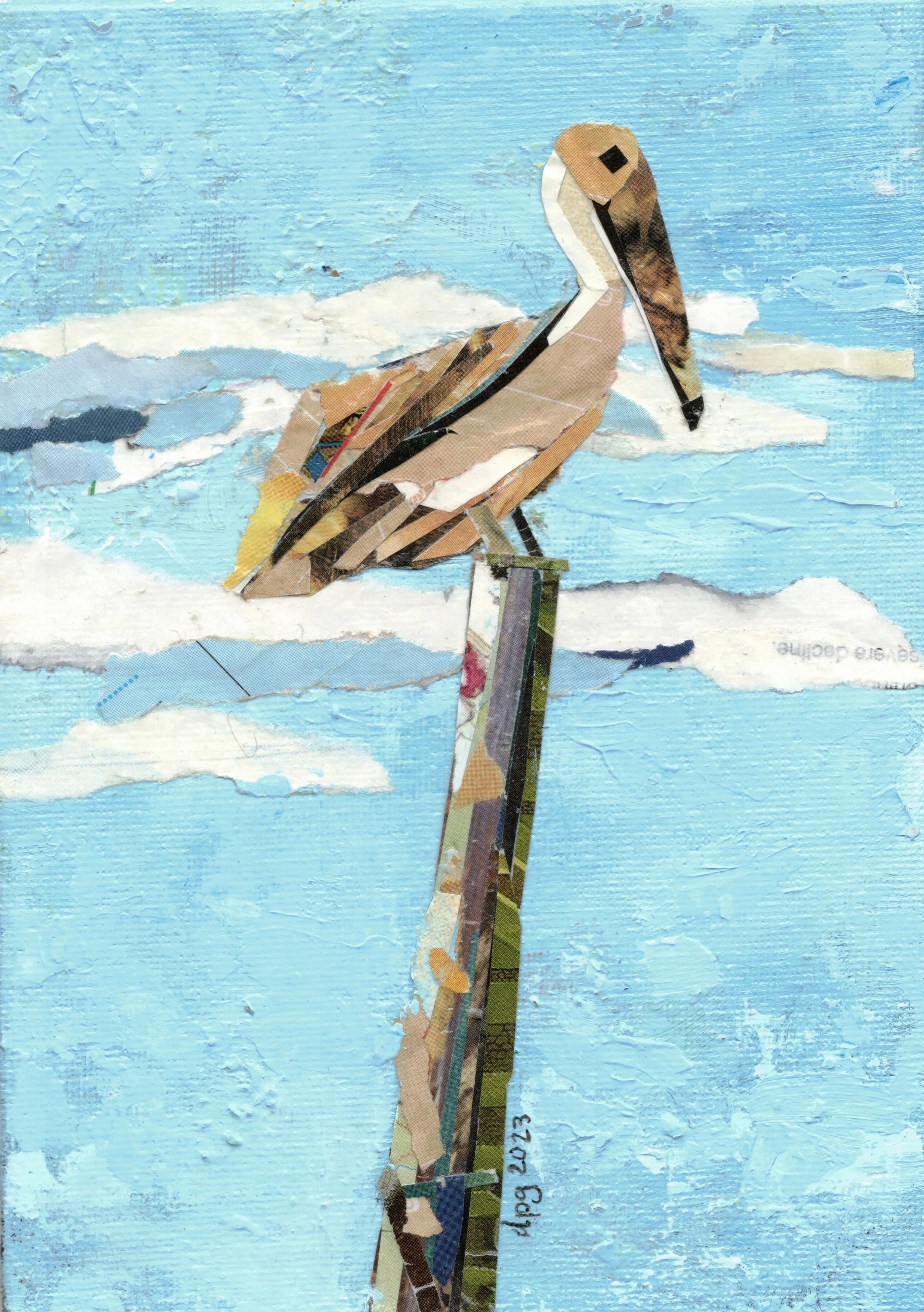 Pelican mixed medium original art