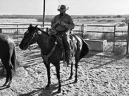 A person riding a horse near a body of water, on a dirt path with a fence in the background.
