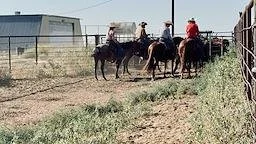Four people riding horses along a dirt path next to a fence, with a house and trees in the background.